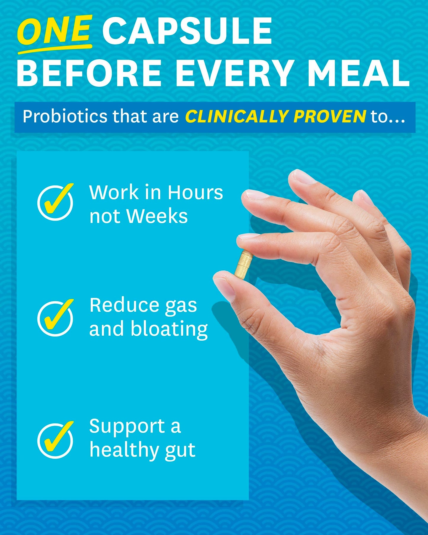 Zenwise Health Digestive Enzymes - Probiotic Multi Enzymes with Probiotics Zenwise HealthUS supplements