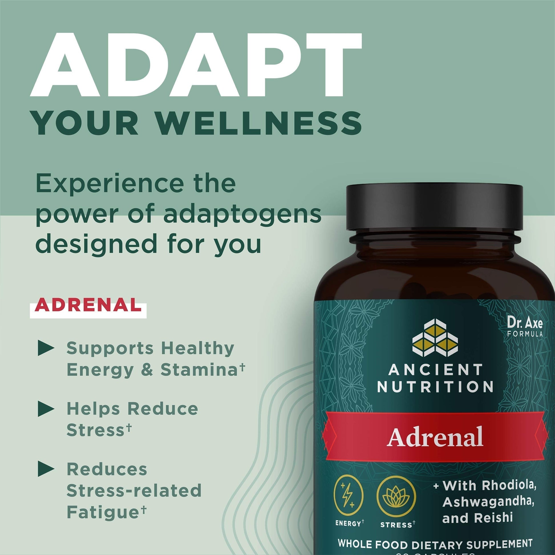 Ancient Nutrition Adrenal Support with Ashwagandha Supplement, Helps Reduce Stress & Fatigue, Paleo and Keto Friendly, Gluten Free, 1300mg, 60 Capsules Ancient NutritionAu supplements
