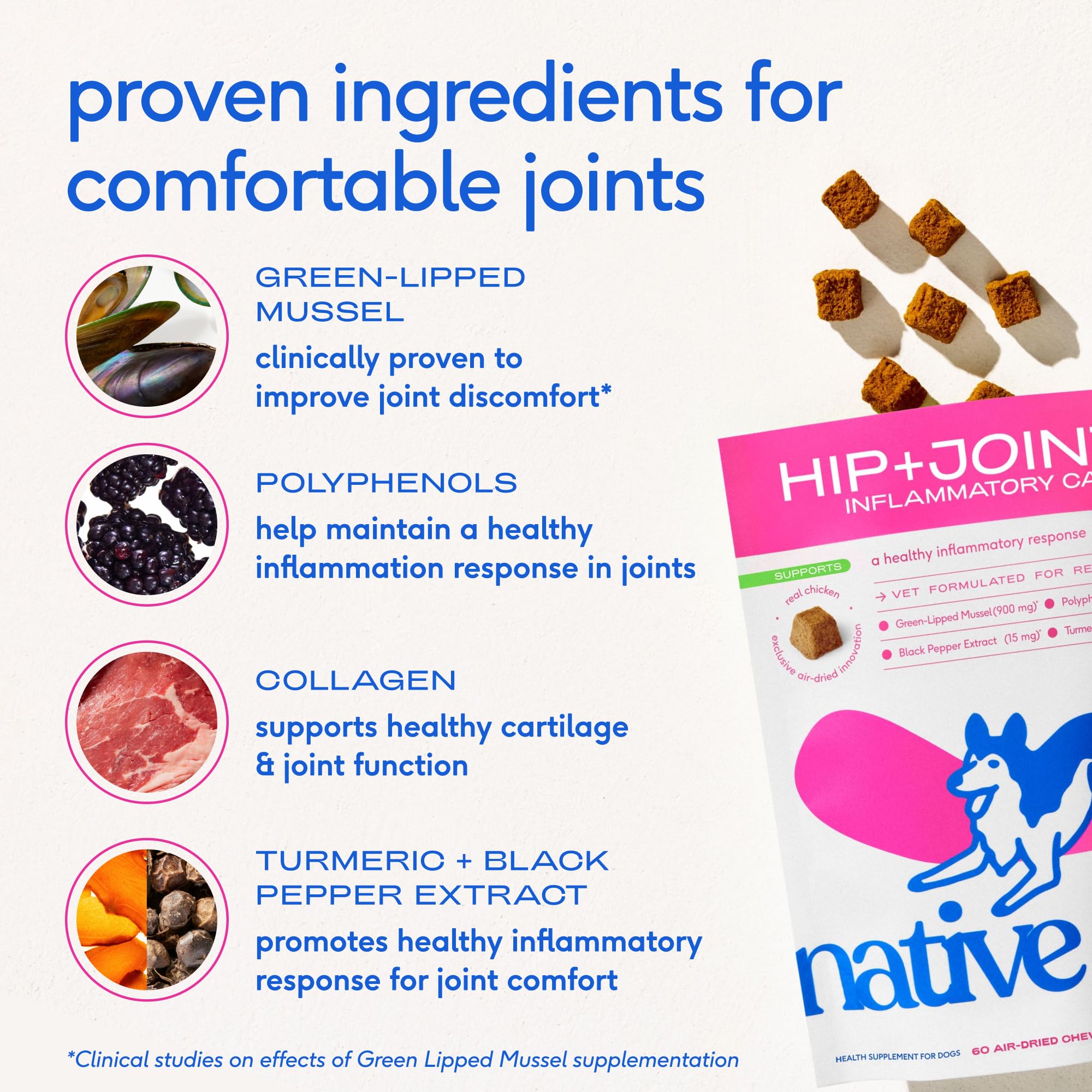 Native Pet Inflammatory Care - Pain Relief for Dogs - Green-Lipped Mussel, Turmeric & Collagen for Dogs - Hip and Joint Supplement Supports Healthy Inflammatory Response & Joint Comfort - 60 Chews Native PetAu supplements