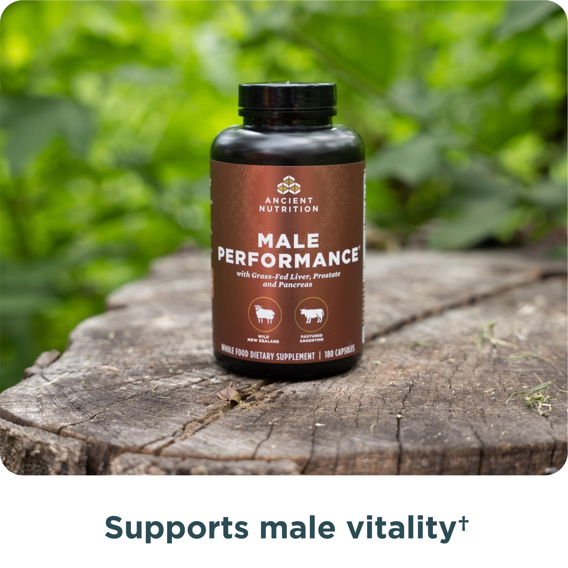 Ancient Nutrition Organ Supplements for Men, Grass-Fed and Wild Organ Complex Capsules, Liver, Prostate, Pancreas Supports Male Performance, Healthy Aging, 180 Ct Ancient NutritionAu supplements