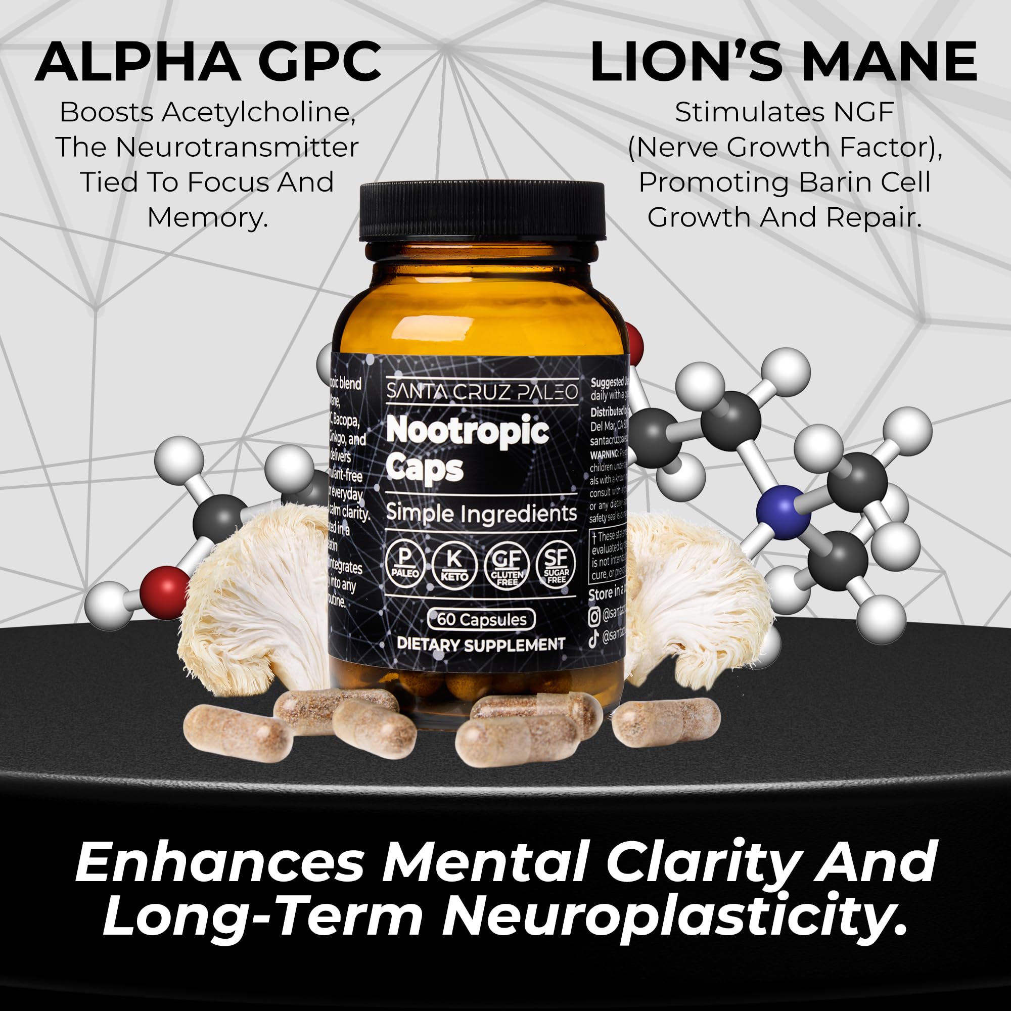 Santa Cruz Paleo Nootropic Capsules – Lions Mane, Alpha GPC, Panax Ginseng & Ginkgo Biloba for Focus, Memory, Mental Clarity & Energy – Keto, Paleo, Gluten Free Brain Supplement, 60 Caps Santa Cruz PaleoAu supplements