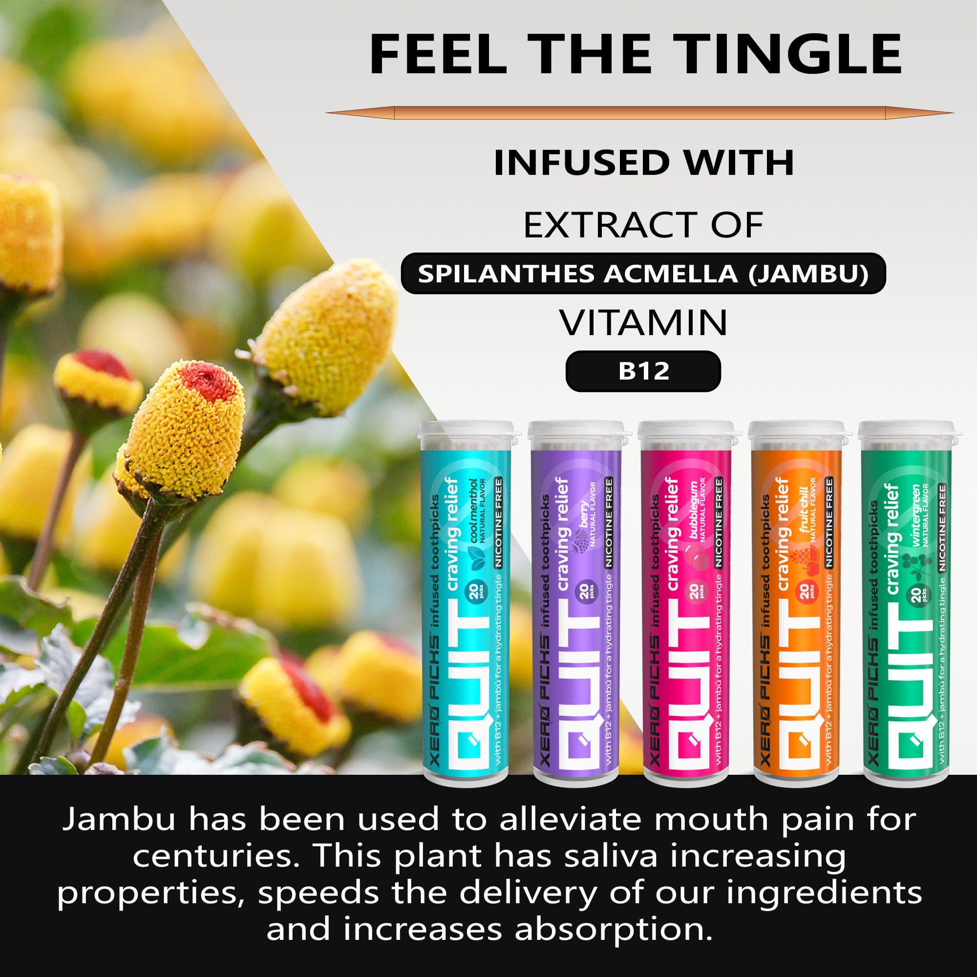 Xero Picks Infused Flavored Toothpicks to Help Quit Smoking - Nicotine Xero PicksAu supplements