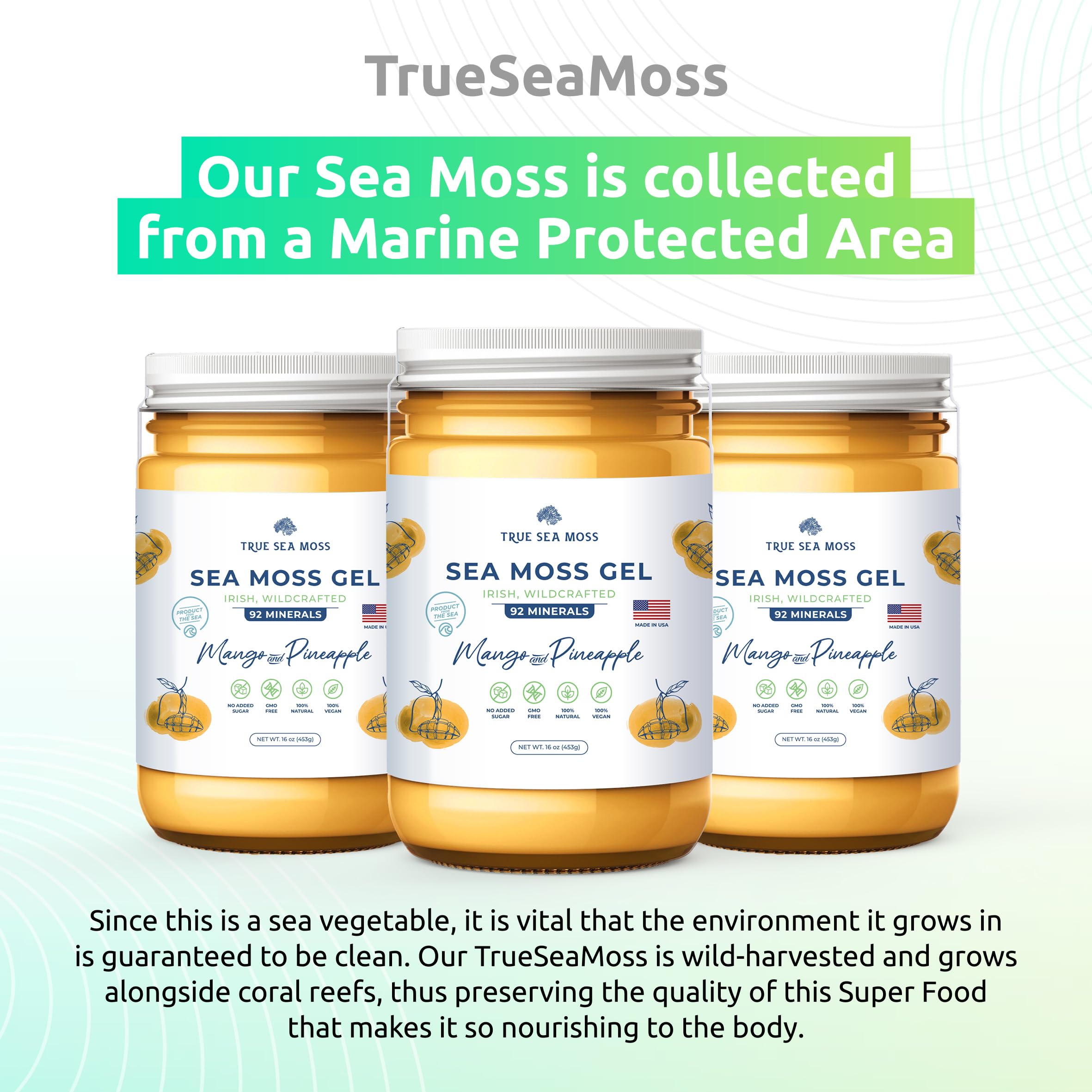 TrueSeaMoss Wildcrafted Irish Sea Moss Gel –7 Flavors- Nutritious Organic Raw TrueSeaMossUS supplements