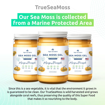 TrueSeaMoss Wildcrafted Irish Sea Moss Gel – Nutritious Organic Raw Seamoss Rich TrueSeaMossUS supplements