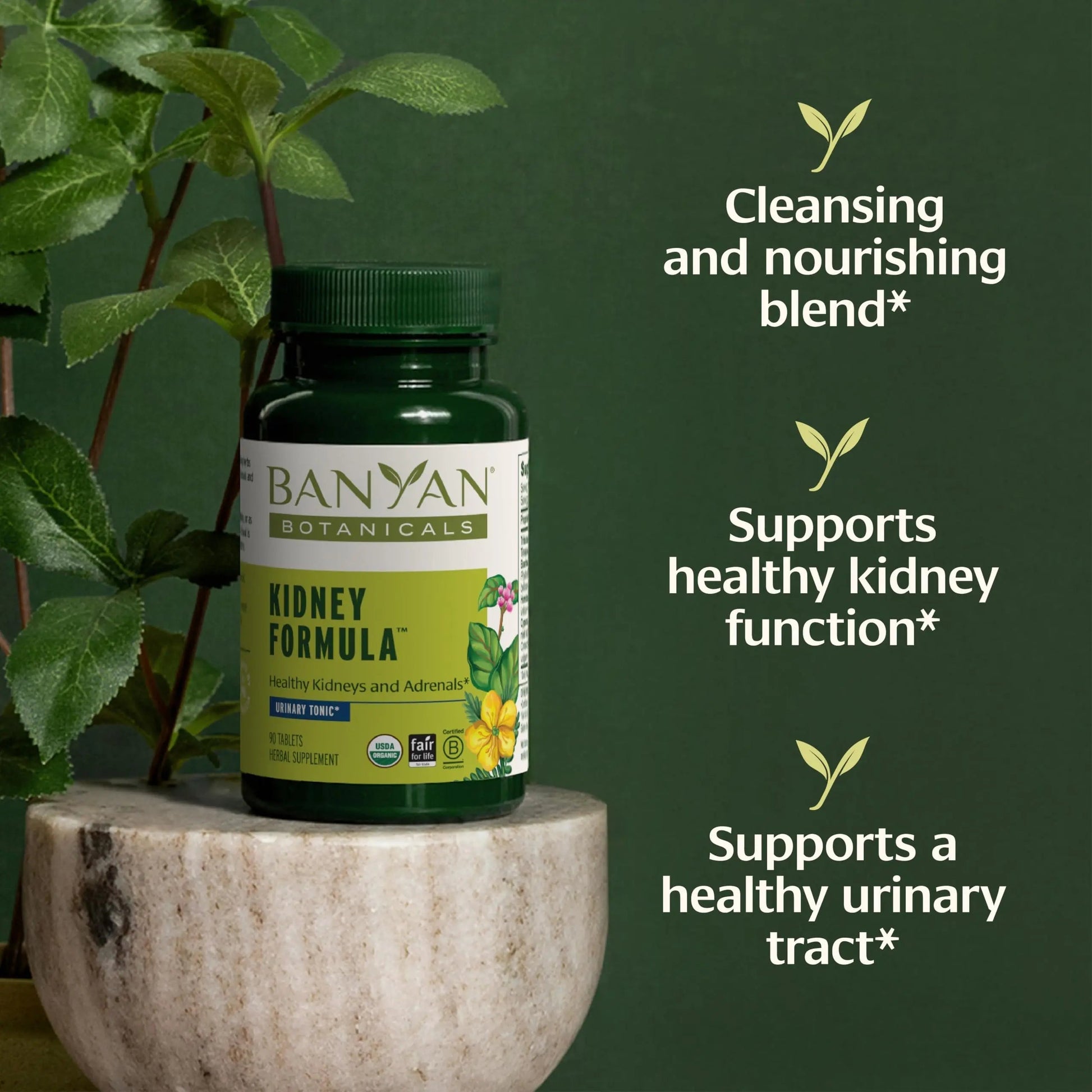 Banyan Botanicals Organic Kidney Formula–Urinary Tract Support & Detox Supplement–Gokshura & Punarnava for Fluid Balance & Systemic Cleansing–Cooling Genitourinary Tonic-90 Tablets-USDA Organic Banyan BotanicalsAu supplements