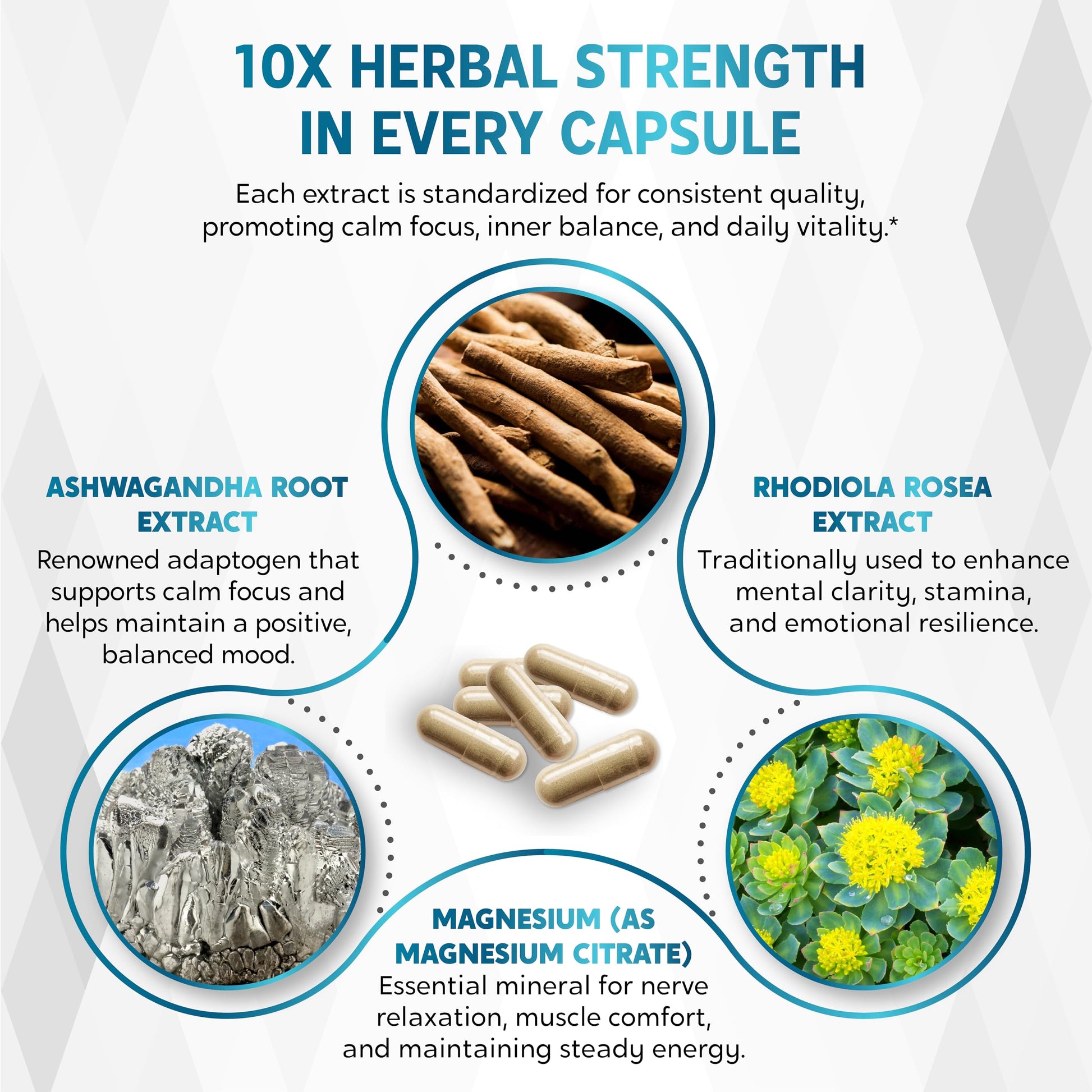 CORTISOL Wellness Ashwagandha 14-in-1 Natural Blend with Phosphatidylserine Magnolia Rhodiola St. John's Wort Peppermint Bacopa - 150 Count NESSARITAu supplements