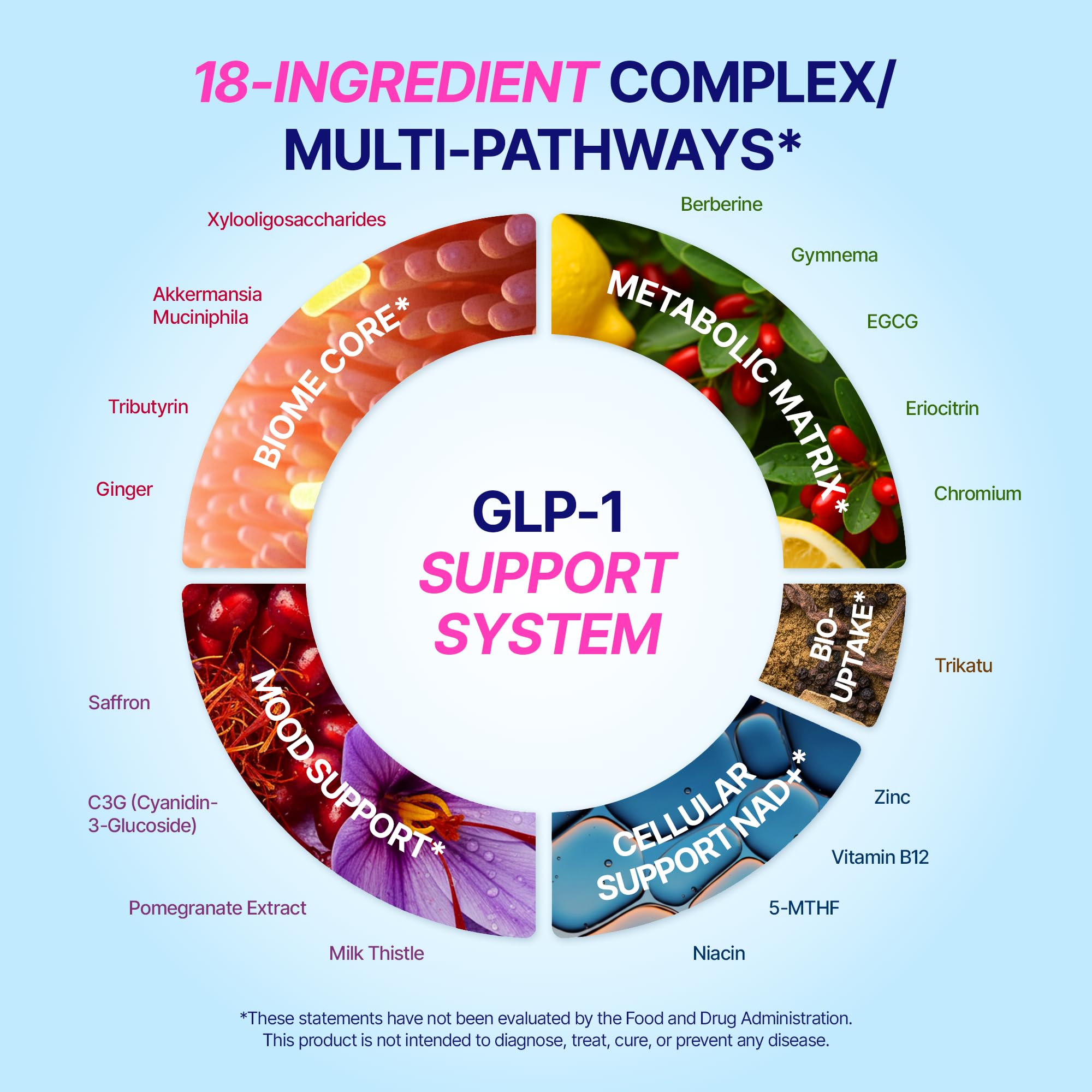 GLP-1 Support – Akkermansia Postbiotic 10B TFU + Berberine HCl 250 mg | 18-Ingredient System | Appetite, Mood & Metabolic Support | Inulin-Free | Saffron, NAD+ Cofactors | 3 Pack | 90-Day Supply ANTROLIFEAu supplements