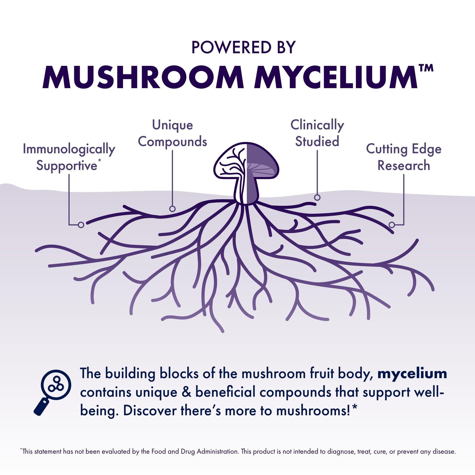Host Defense MycoBotanicals Brain* Capsules - Brain Support Supplement with Lion's Mane, Reishi & Cordyceps Mushroom - Herbal Supplement for Memory & Focus Support - 60 Capsules Host DefenseAu supplements