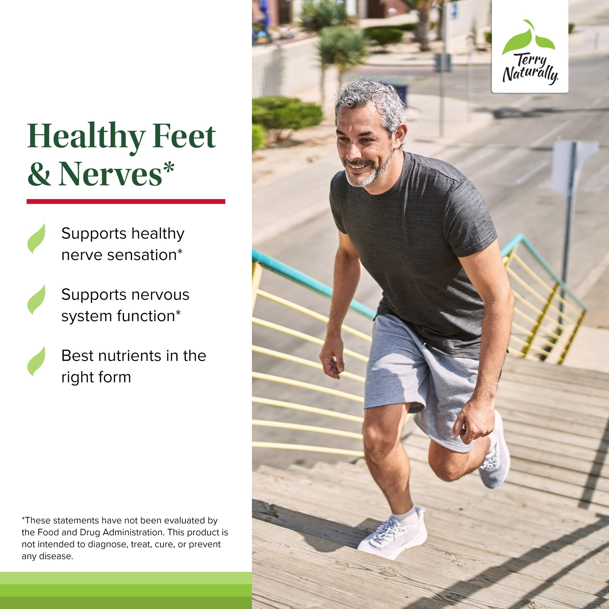 Terry Naturally Healthy Feet & Nerves - Herbal Supplement with Bioactive Vitamin B12 - Circulation & Nerve Health Support Supplement - Vegan Capsules with Boswellia Serrata - 60 Capsules Terry NaturallyAu supplements