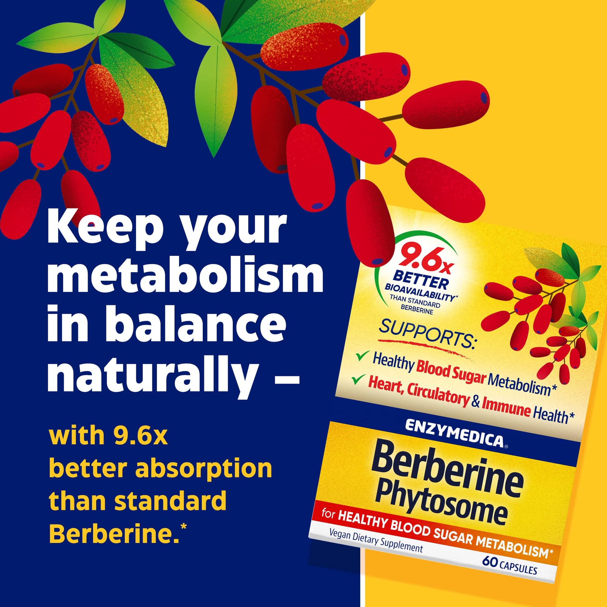 Enzymedica, Berberine Phytosome EnzymedicaAu supplements