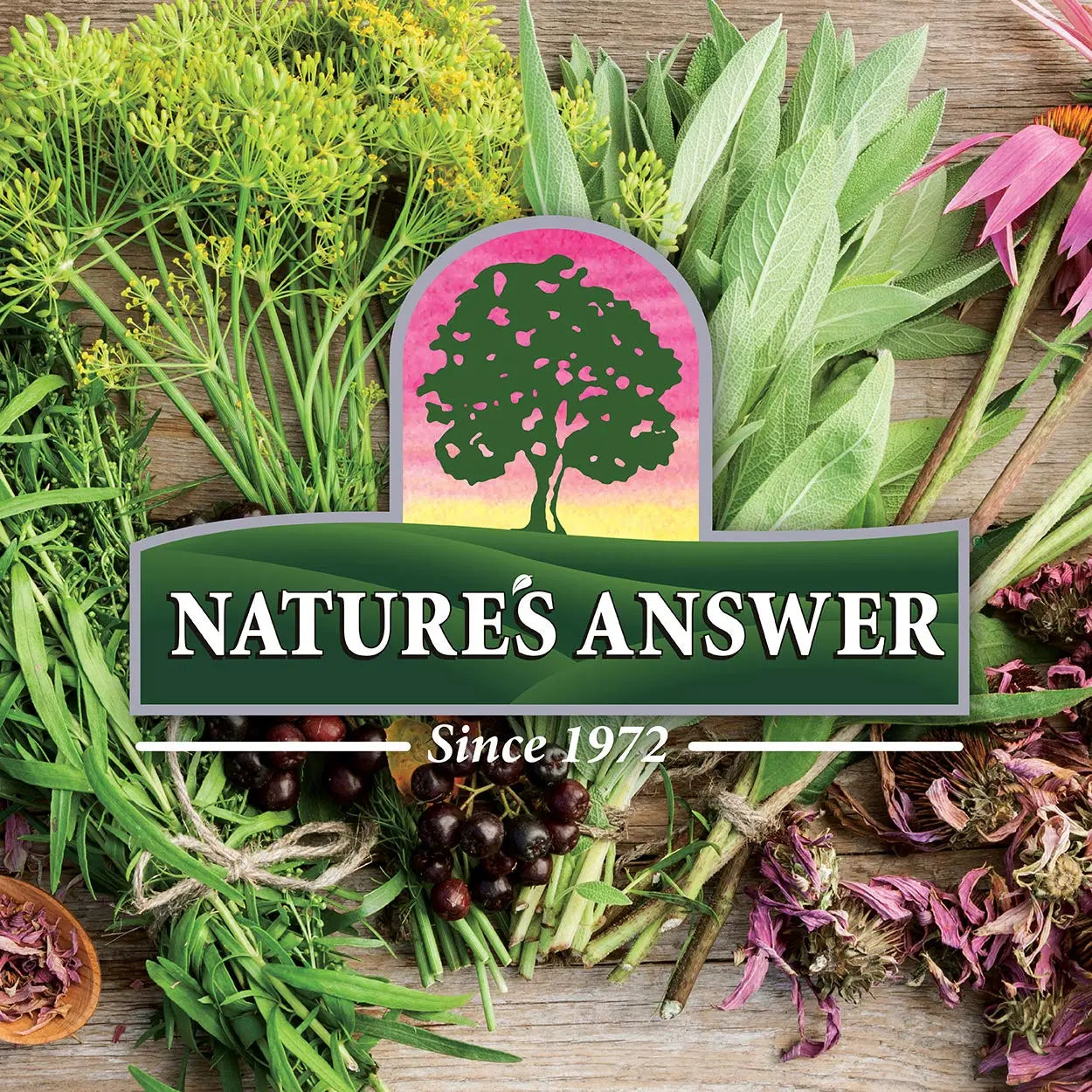 Nature's Answer Women's 100, Multivitamin, 60 Vegetarian Capsules Nature's AnswerAu supplements