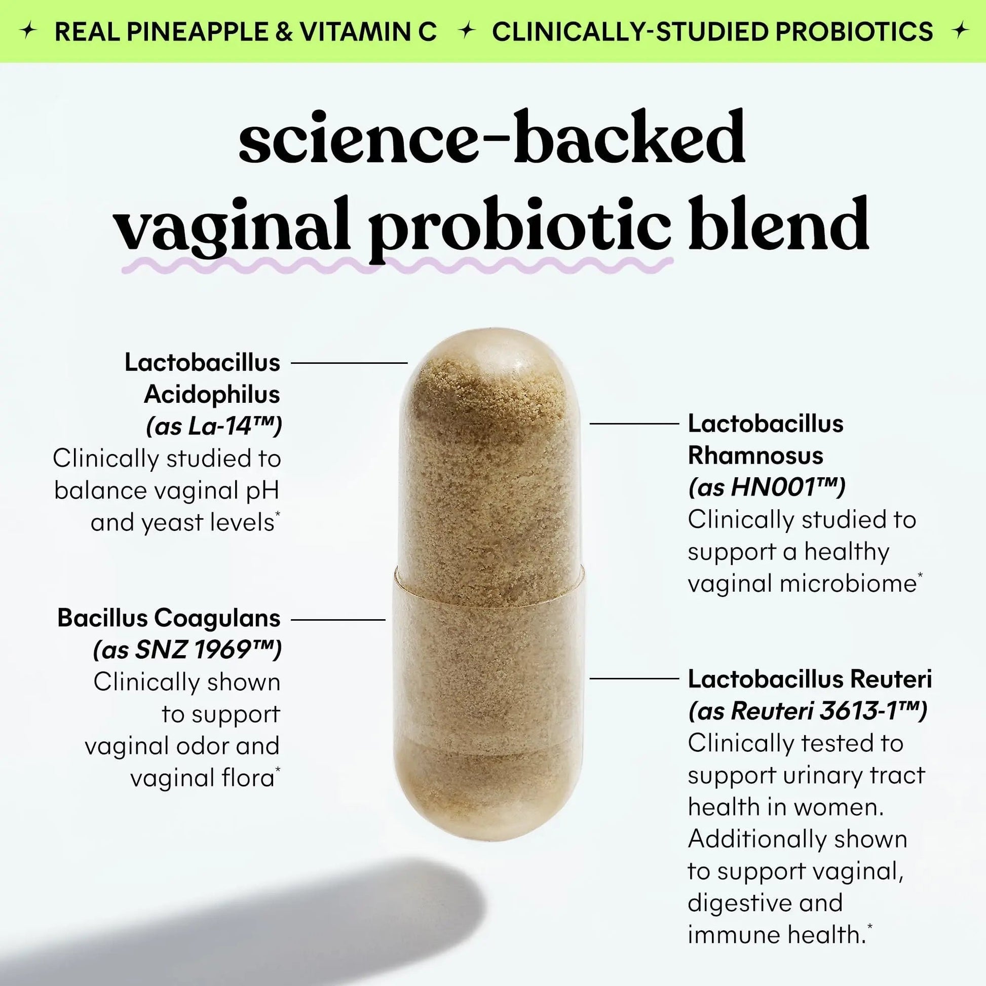 Lemme Purr Vaginal Probiotics for Women - Promotes pH Balance, Healthy Vaginal Odor & Urinary Tract Health w/Lactobacillus Blend, Clinically Tested Strains, Pineapple & Vitamin C - 60 Veggie Capsules LemmeAu supplements