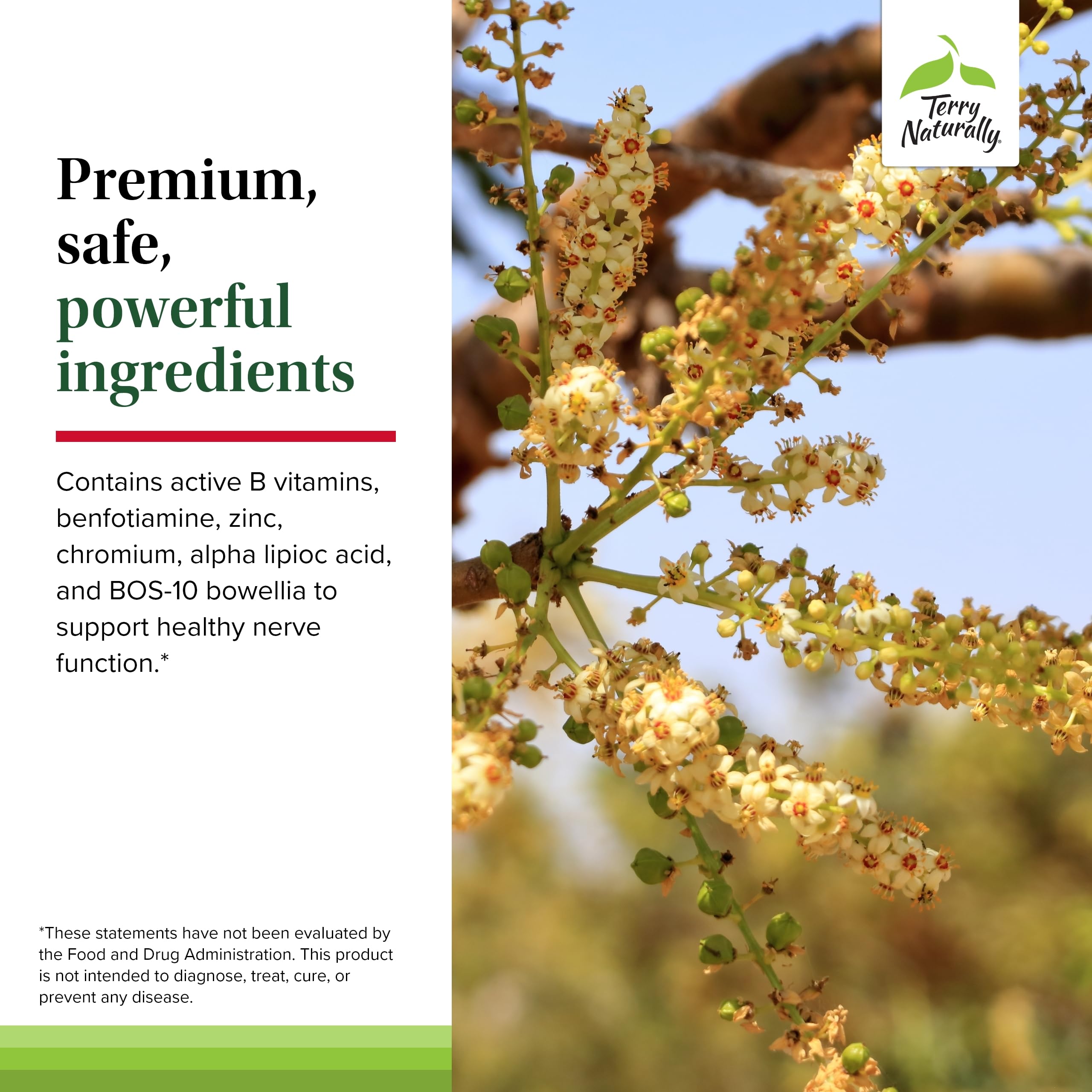 Terry Naturally Healthy Feet & Nerves - Herbal Supplement with Bioactive Vitamin B12 - Circulation & Nerve Health Support Supplement - Vegan Capsules with Boswellia Serrata - 60 Capsules Terry NaturallyAu supplements