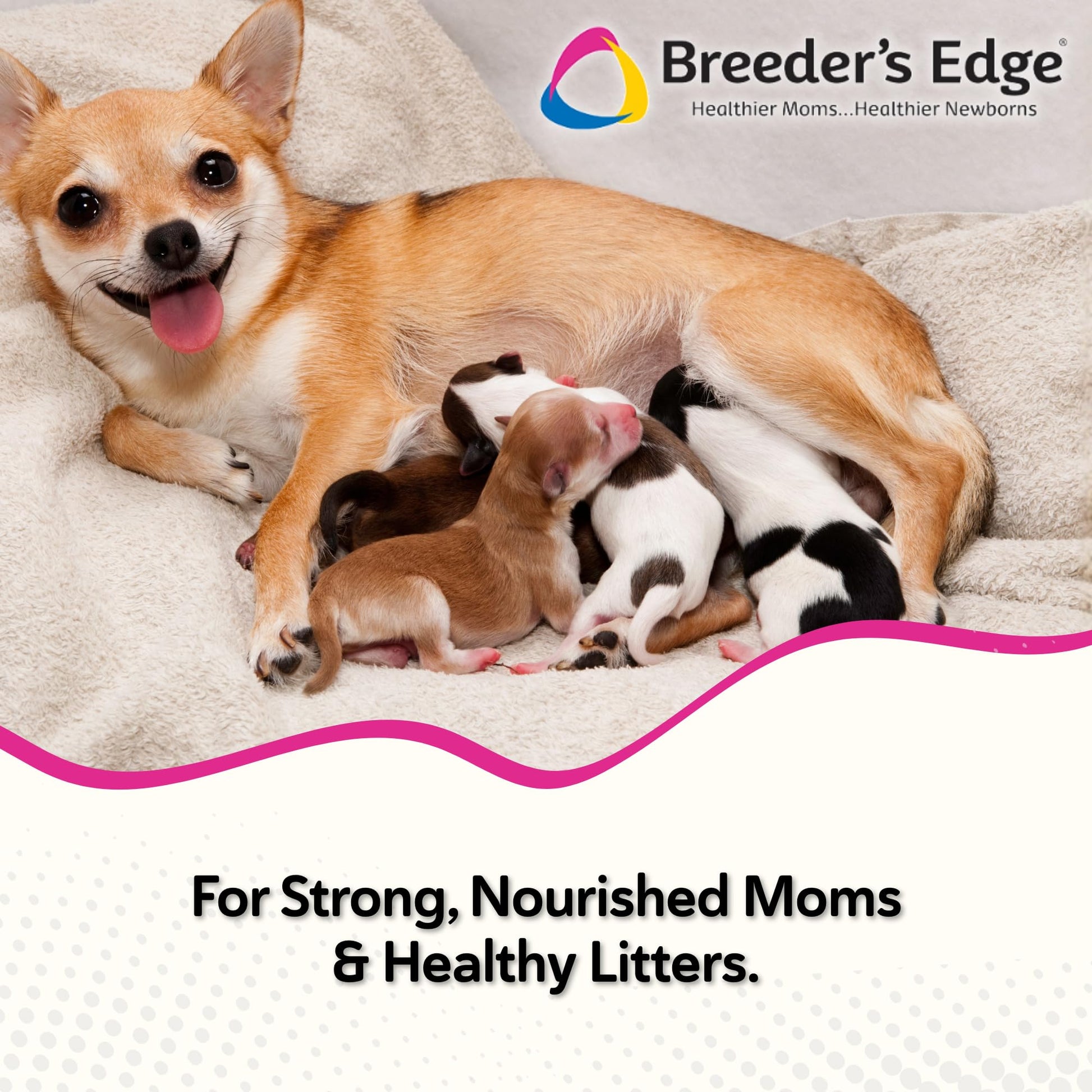Breeder's Edge Oxy Momma Soft Chews, Postnatal Vitamin Supplement for Lactating Dogs and Cats, Supports Recovery, Hormones, and Next Pregnancy - for Small Dogs & Cats, 40ct Soft Chews Revival Animal HealthAu supplements