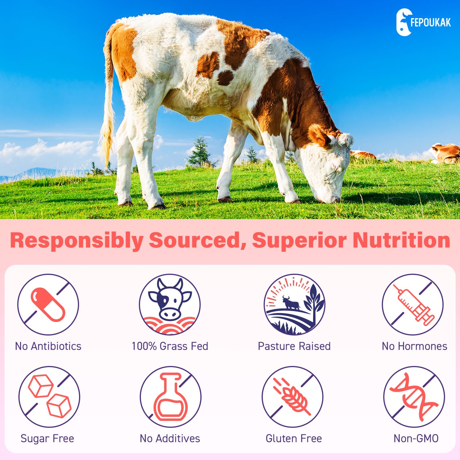 (180 Gummies) Beef Organ Supplement for Women - 5300mg Beef Liver, Kidney, Uterus & 10 More, for Hormone Balance, Menstruation, Energy, Immunity, Gut & Skin Health - 100% Grass Fed & Pasture Raise FepoukakAu supplements