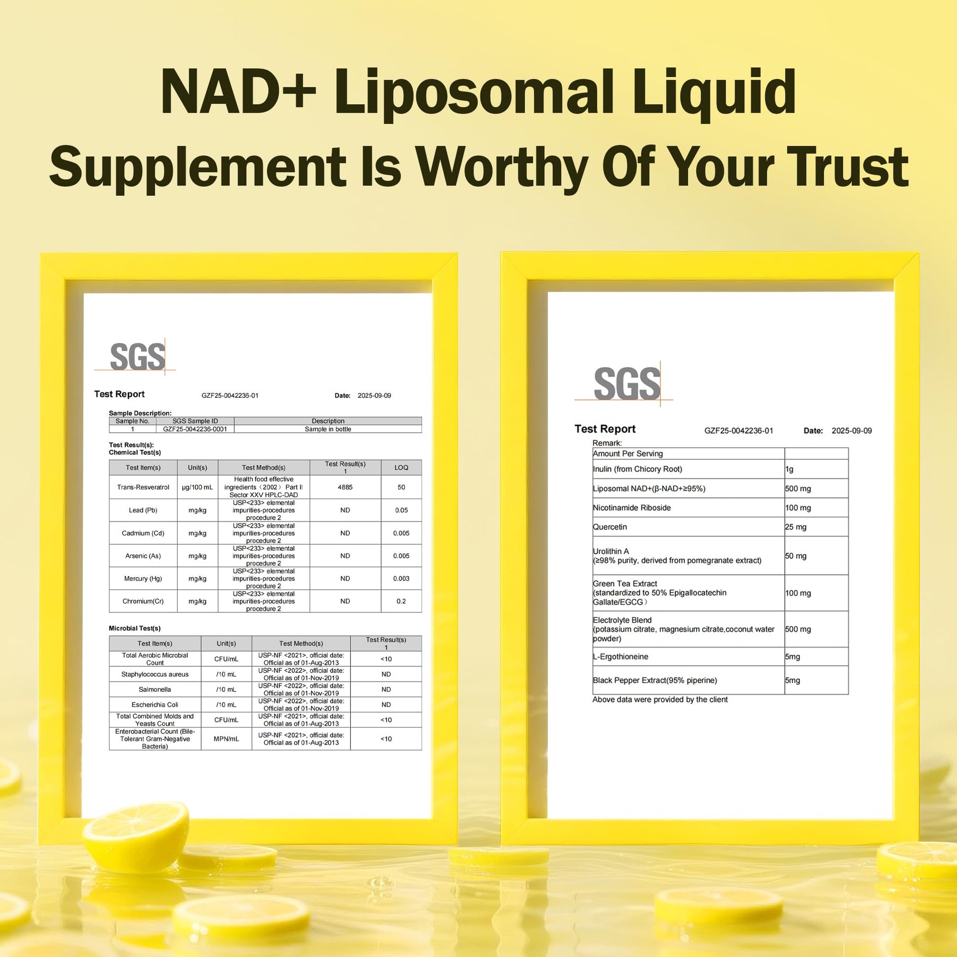 Liposomal NAD+ Liquid Supplement - Designed to Help Support Absorption - Nhanced Cellular Uptake, Helps Support Normal Cellular Health, Supports Cellular Energy Metabolism and Vitality - Lemon Flavor BAKAKOULAu supplements