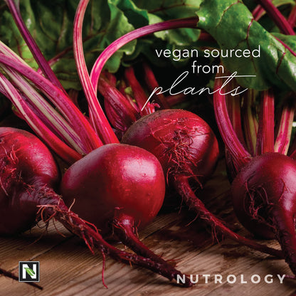 Nutrology Beet Active, Natural Pre-Workout Powder, Supports Energy, Endurance & Nitric NutrologyUS supplements
