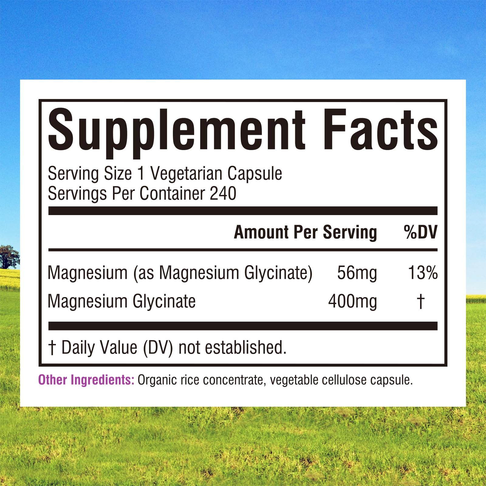 Innate Vitality Magnesium Glycinate 400mg, Non Buffered & High Absorption Magnesium Supplement for Sleep, Relaxation, Heart & Bone Health for Men & Women, Non-GMO, No Gluten, 240 Vegan Capsules Innate VitalityAu supplements
