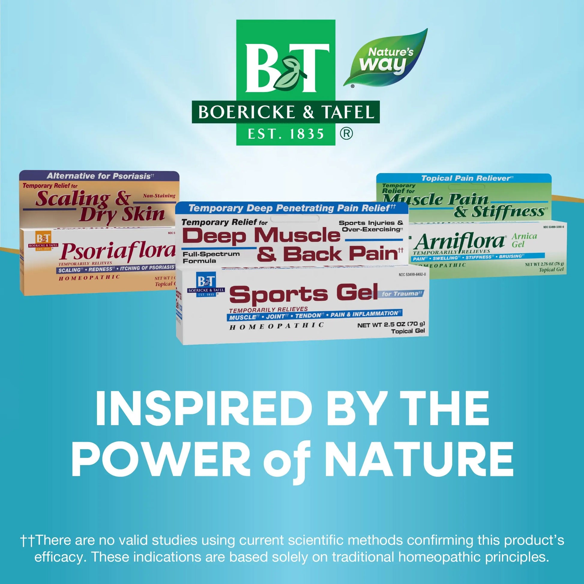 Nature's Way Boericke & Tafel Sports Gel, Relief for Deep Muscle, Joint, Tendon, & Back Pain and Inflammation, Homeopathic, 2.5 oz Nature's WayAu supplements