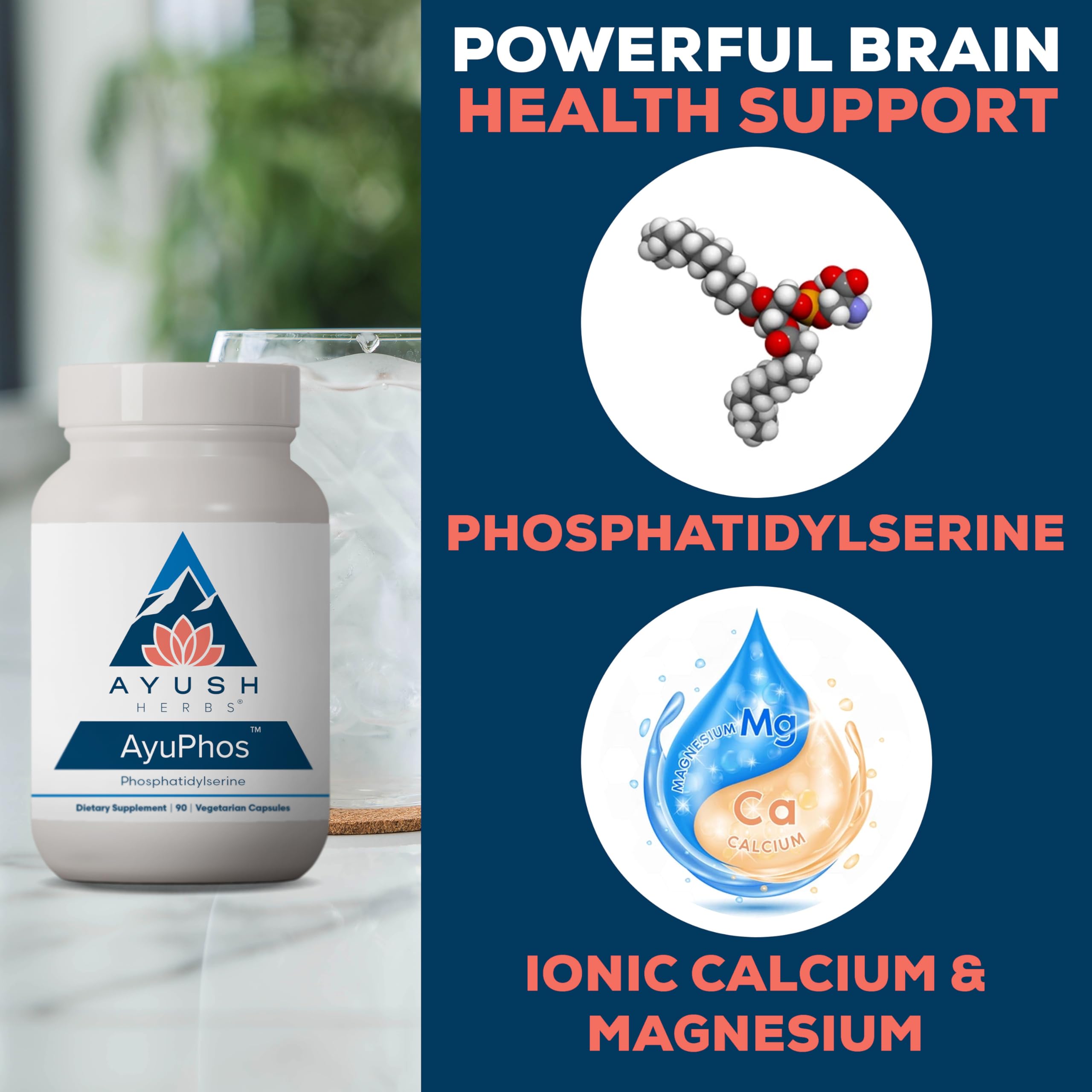 Ayush Herbs AyuPhos - Phosphatidylserine Supplement for Men & Women, Soy-Free Phosphatidyl Serine, Brain, Memory, & Cognitive Support for Adults, 200mg Per Pill - 45 Servings Ayush HerbsAu supplements
