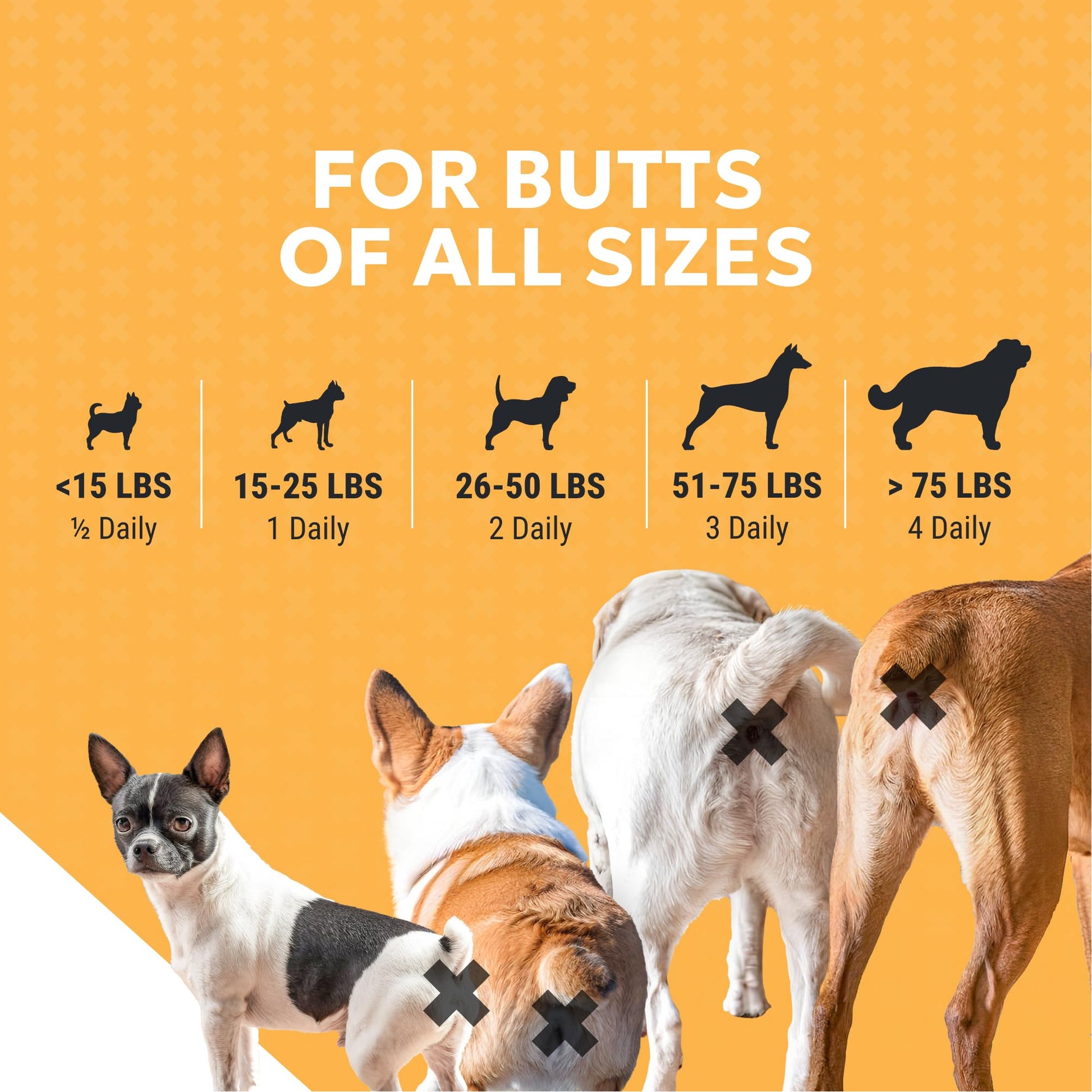 Nutramax Filaquin Anal Gland Supplement for Dogs, from The Same Company as Cosequin & Proviable, with Pre & Postbiotics and Psyllium Husk Fiber to Support Anal Gland Health, 90 Count Soft Chews Nutramax LaboratoriesAu supplements