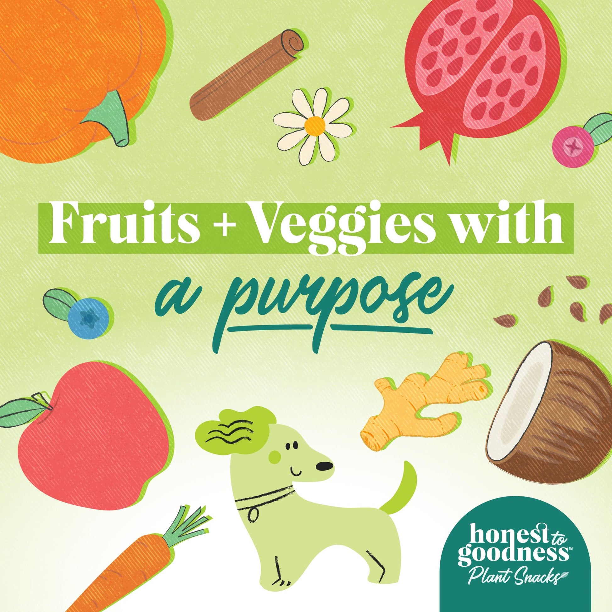 Honest to Goodness Plant Snacks Dog Treats, Enriched with Omega 3s & Postbiotics, 8oz Variety Pack, 6 Bags Honest to GoodnessAu supplements