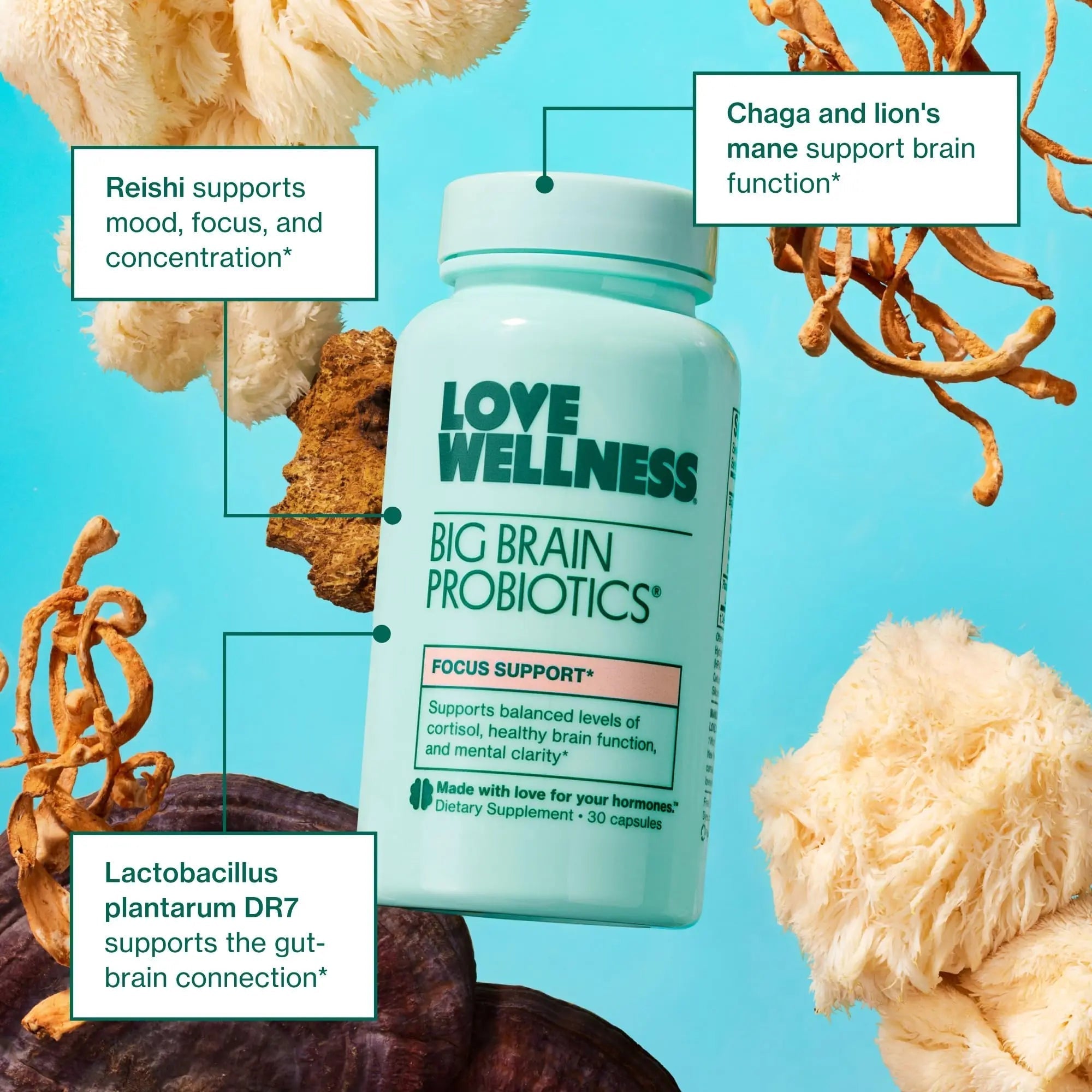 Love Wellness Daily Love Multivitamin & Big Brain Probiotics | Mind and Body Duo | Womens Vitamin and Probitoic Love WellnessAu supplements