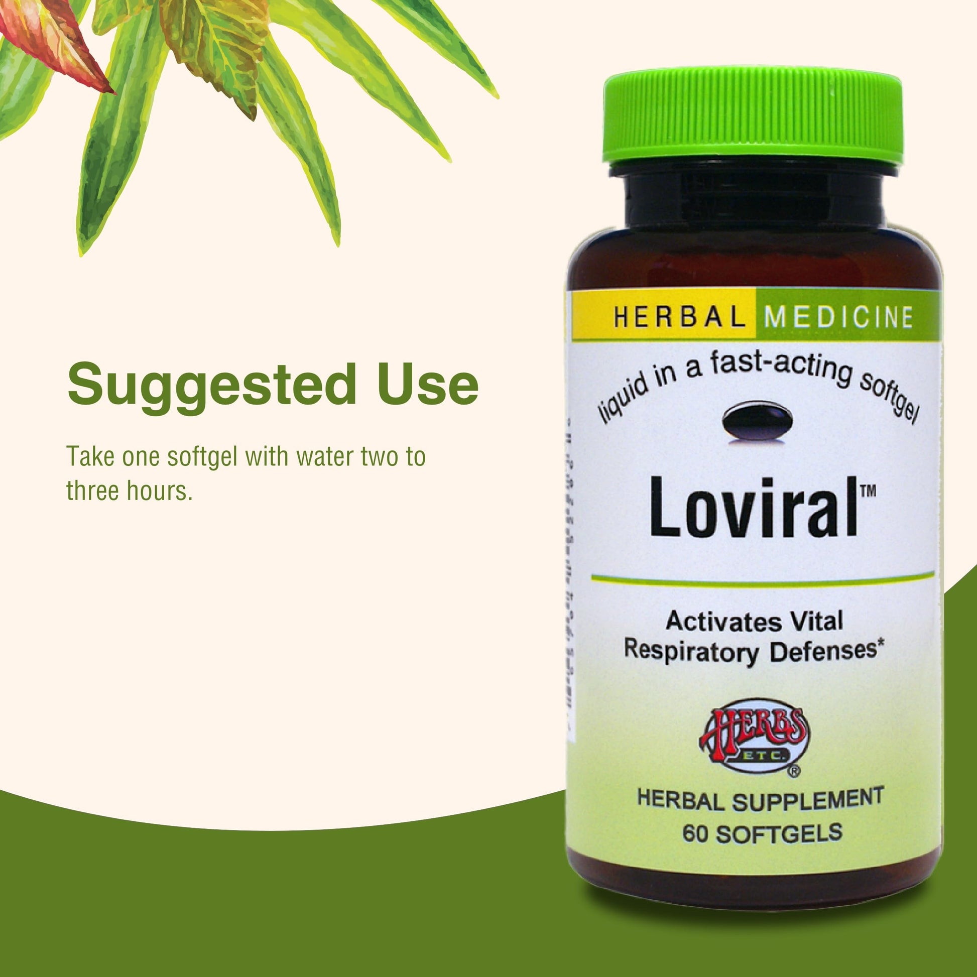 Herbs Etc. Loviral - Lung Health Supplement for Respiratory Defense & Support - Herbal Supplement with Lomatium, Pelargonium & OSHA - Gluten-Free - 60 Softgels (60 Servings) Herbs Etc.Au supplements