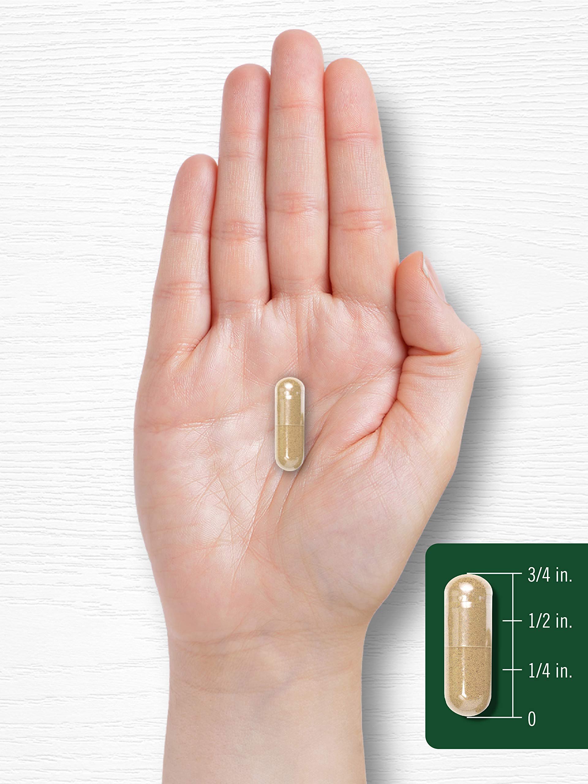 Carlyle Holy Basil Capsules 1600 mg | 200 Count | Tulsi Holy Basil Leaf Extract | Herbal CarlyleAu supplements