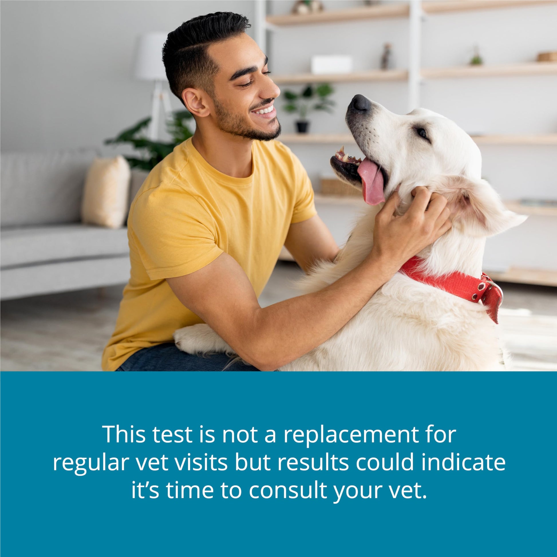 Petivity At-Home Kidney Health Test Kit for Dogs — Quick Saliva Urea Test (2-Minute Home Check), Powered by Purina — Help Detect Early Kidney Changes - (Pack of 3) petivityAu supplements