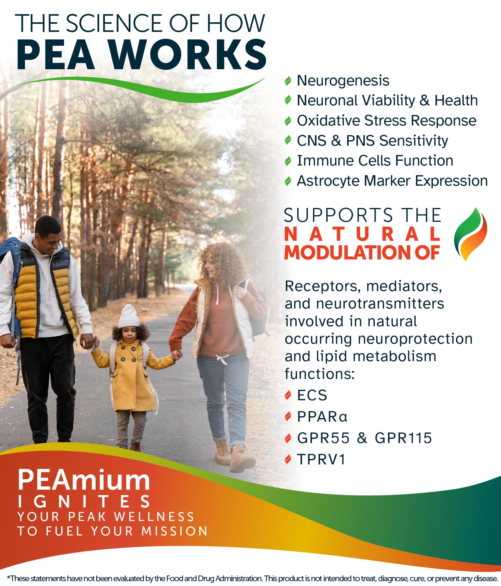 Palmitoylethanolamide 450mg Comfort Mobility Nerves Cognitive & Immune Support - Micronized High Absorption - All Natural Pea - USA Made - No Additives or Excipients – 60 Vegan Capsules Supplement Awakened.energyAu supplements