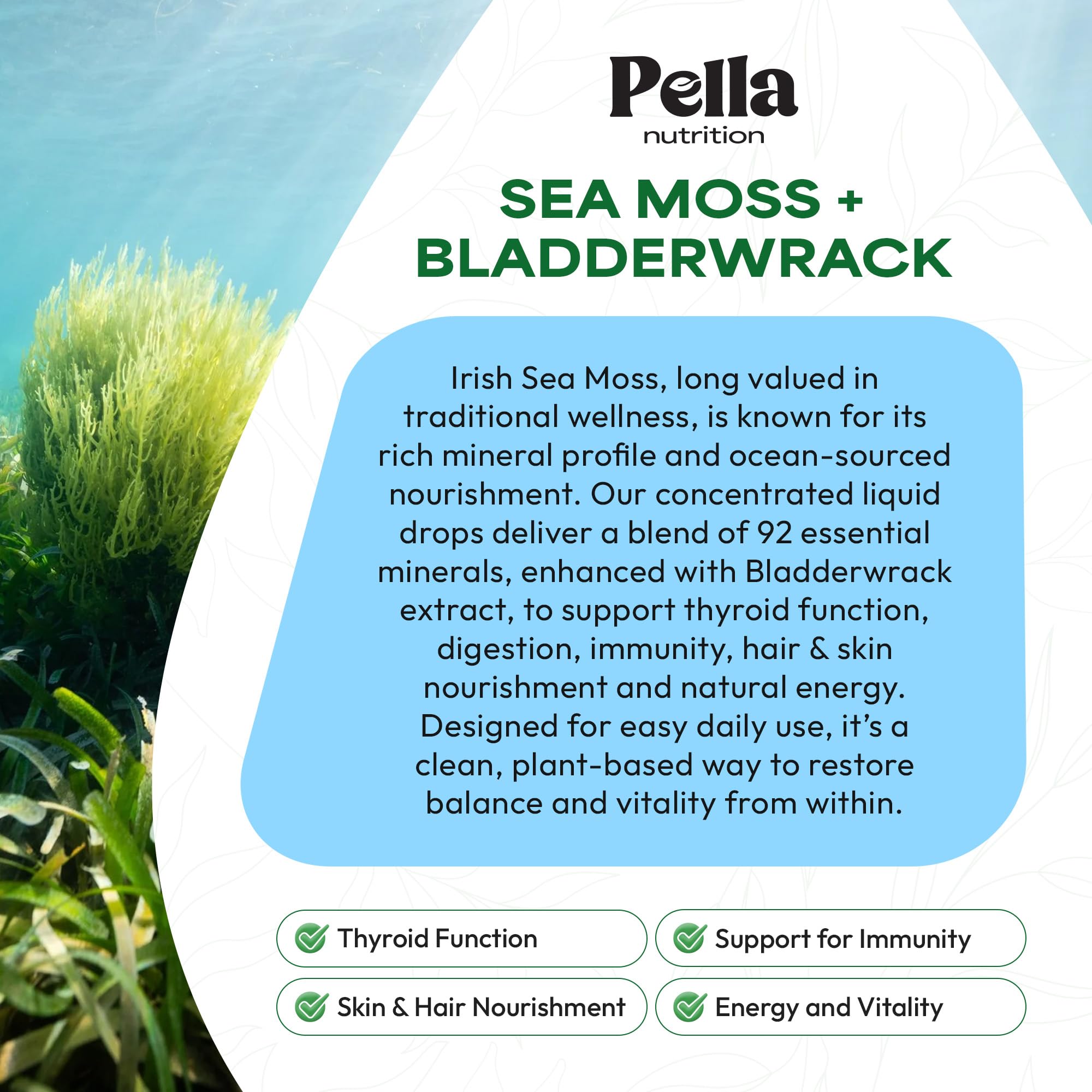 Pella Nutrition Sea Moss Drops with Bladderwrack – 4X Faster Absorption Than Irish Sea Moss Gel Superfood, Gummies, and Capsules – Digestive & Immune Support Supplement (Strawberry Lime, 60mL) Pella NutritionAu supplements