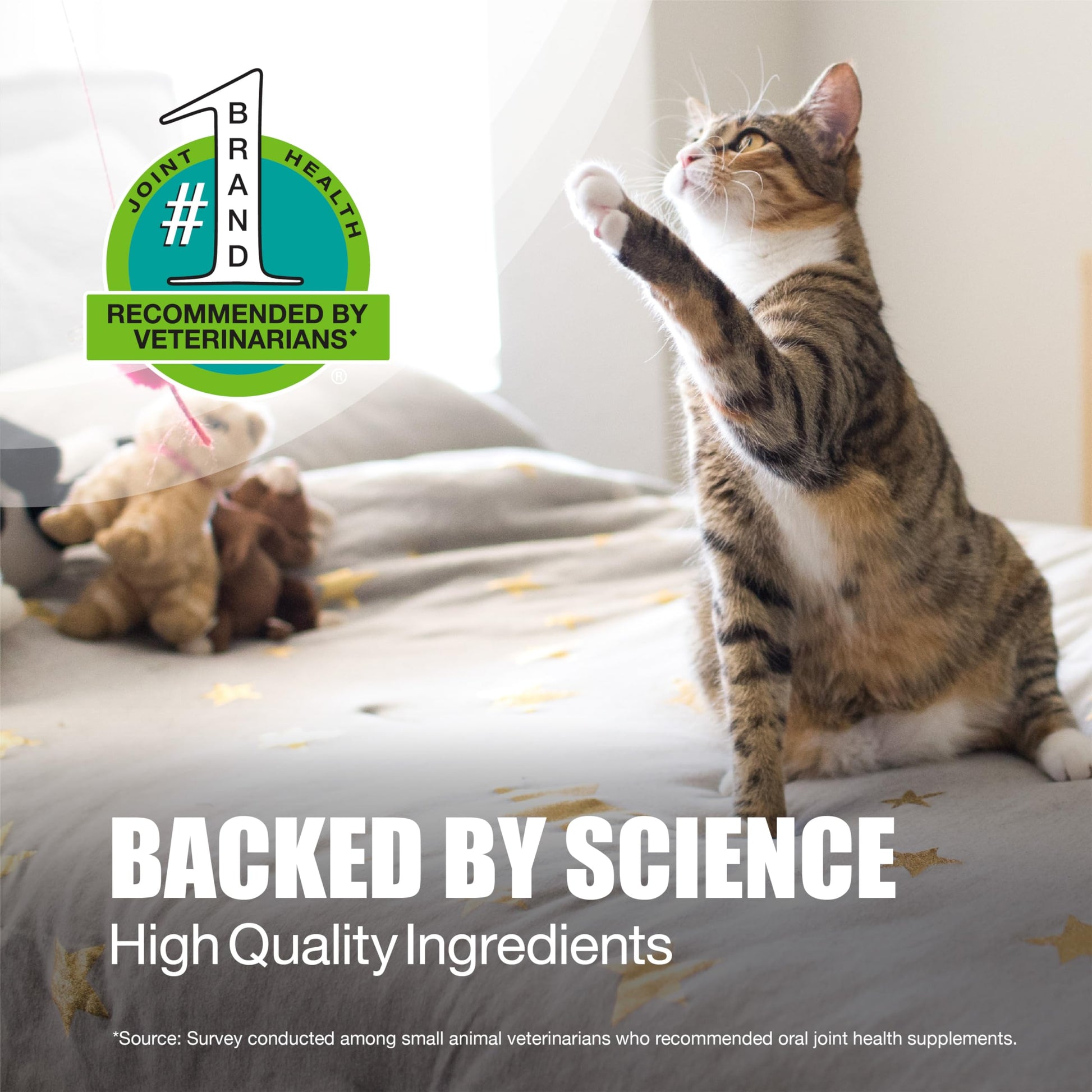Nutramax Laboratories Dasuquin Joint Health Supplement for Cats - With Glucosamine, Chondroitin, ASU, Boswellia Serrata Extract, and Green Tea Extract, 84 Capsules Nutramax LaboratoriesAu supplements