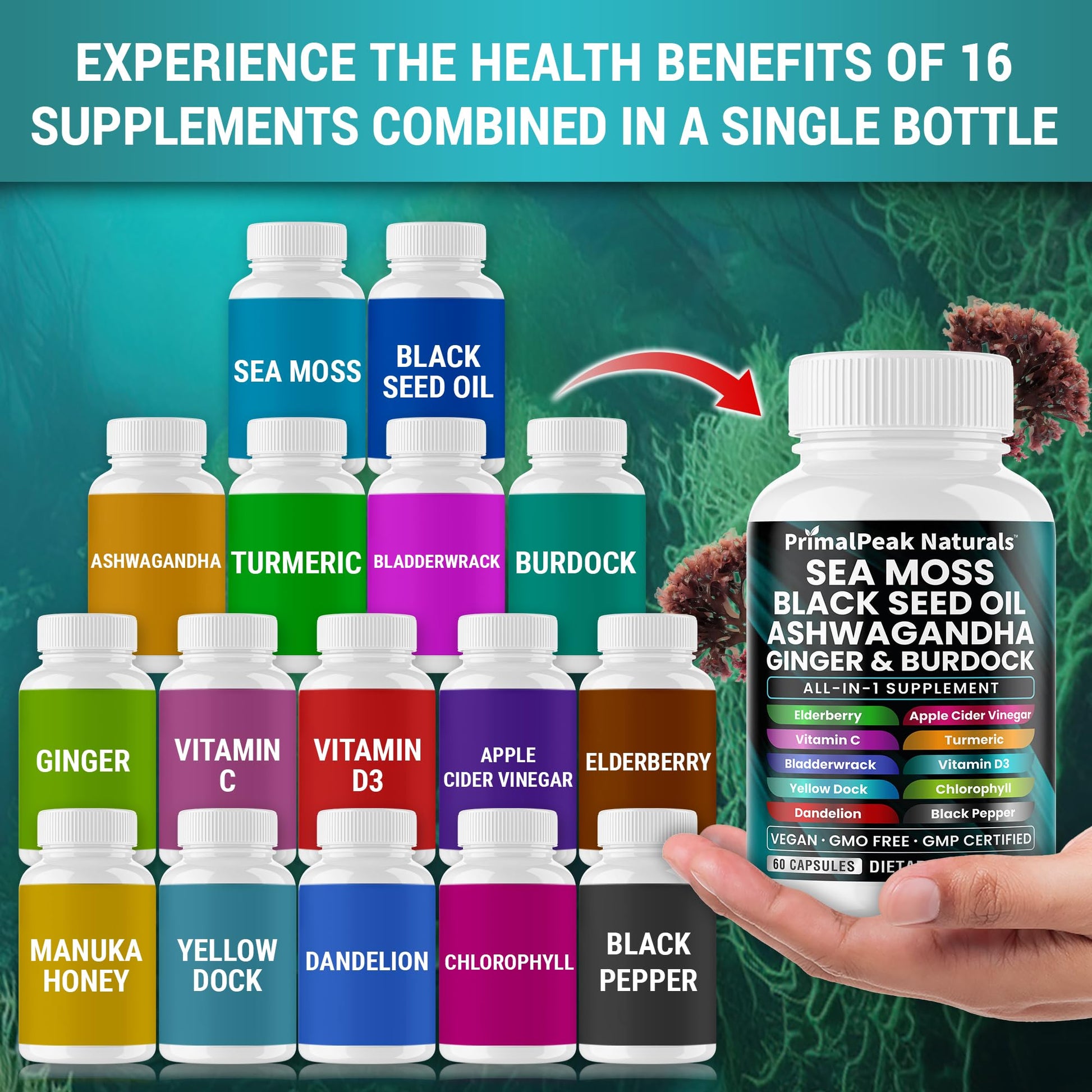 PrimalPeak Naturals Sea Moss Black Seed Oil Ashwagandha Ginger Burdock Bladderwrack Turmeric & Vitamin C Vitamin D3 with ACV Elderberry Chlorophyll Dandelion Yellow Dock Vegan Capsules - 60 Count PrimalPeak NaturalsAu supplements