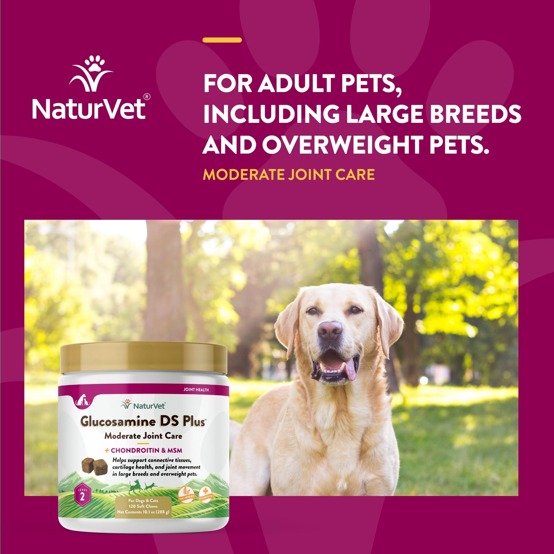 NaturVet – Glucosamine DS Plus - Level 2 Moderate Care – Supports Healthy Hip & Joint Function – Enhanced with Glucosamine, MSM & Chondroitin – for Dogs & Cats–120 Soft Chews NaturVetAu supplements