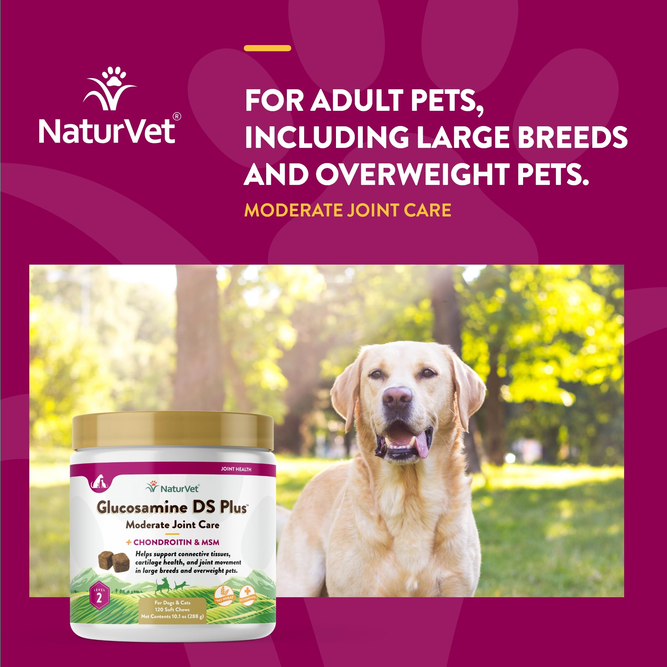 NaturVet – Glucosamine DS Plus - Level 2 Moderate Care – Supports Healthy Hip & Joint Function – Enhanced with Glucosamine, MSM & Chondroitin – for Dogs & Cats–120 Soft Chews NaturVetAu supplements