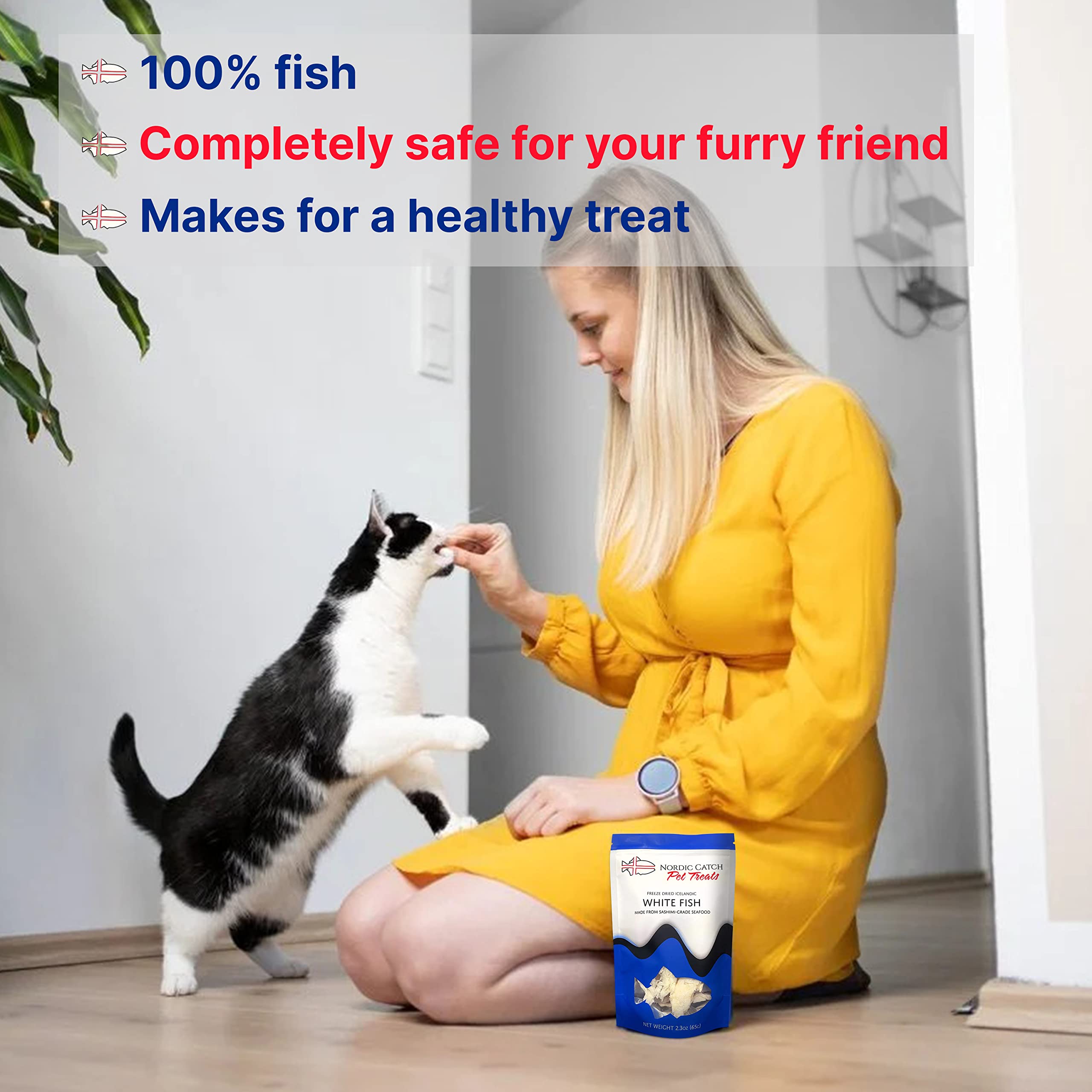 Nordic Catch Freeze Dried Fish Pet Treats from Iceland - Pure, All Natural Seafood Snacks for Dogs, Cats and Other Pets - Human Safe Ingredients, Made from Sashimi Grade Seafood - White Fish Nordic CatchAu supplements