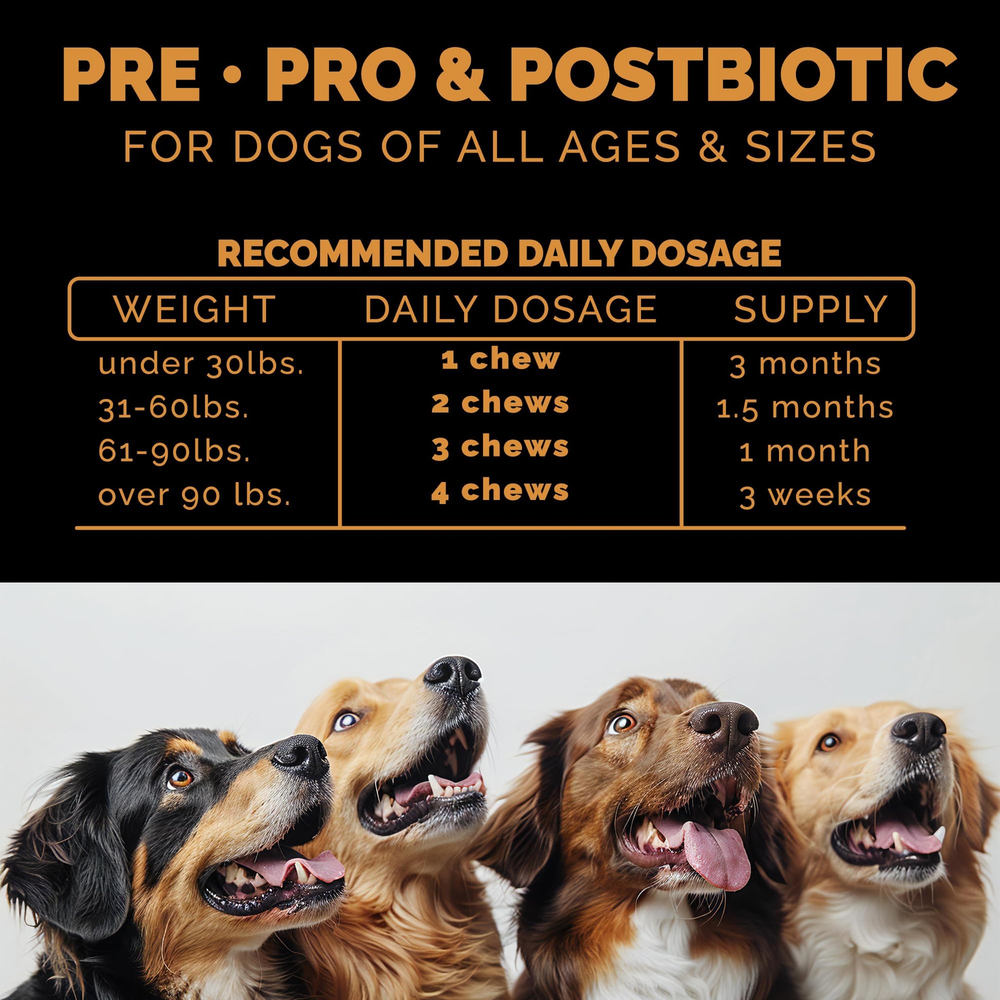 Pet Theory Probiotics for Dogs. Dog Digestive Health-Pre Pro and Postbiotic Combination-Pet Supplements for Gut Health-Supports Digestion, Boost Immunity-100CT Soft Chews Pet TheoryAu supplements