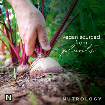 Nutrology Beet Natural O2, Pre Workout Powder, Energy, Endurance; Nitric Oxide Booster NutrologyUS supplements