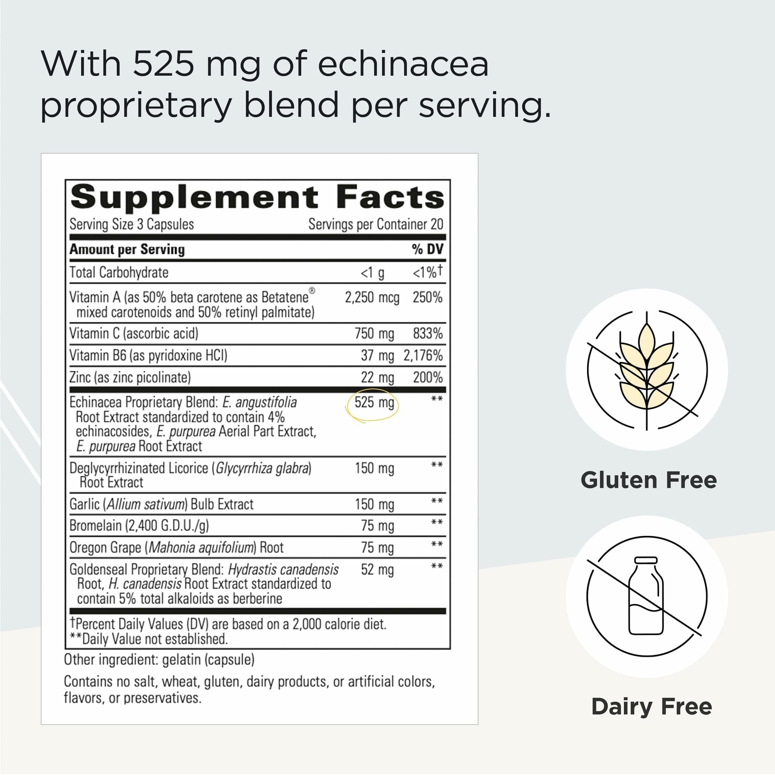 Integrative Therapeutics EHB - Immune Support Supplement with Vitamins A, C & B6* - Mineral Support with Zinc - Dairy-Free & Gluten-Free - 60 Capsules (20 Servings) Integrative TherapeuticsAu supplements