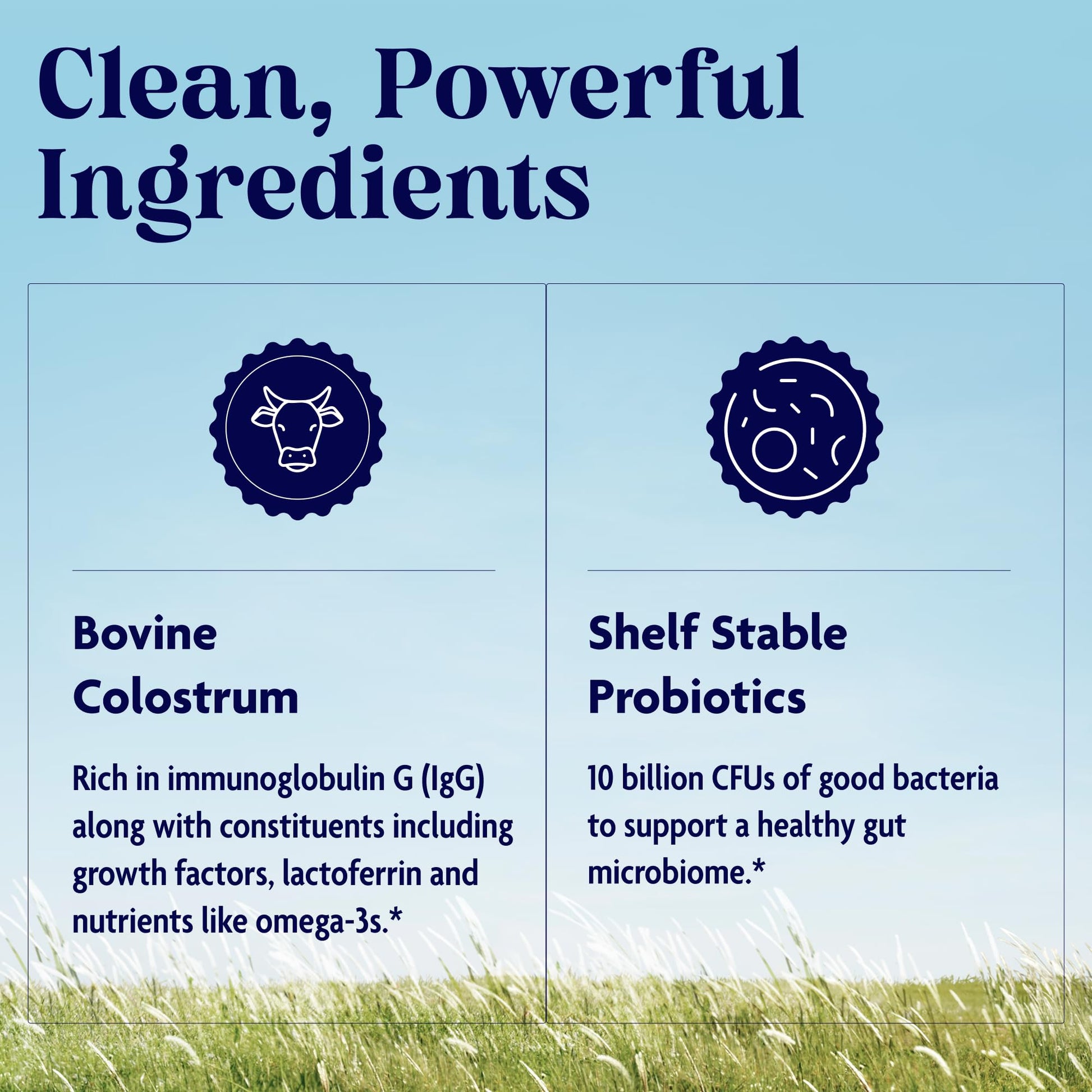 Enzymedica Colostrum + Probiotics Powder Supplement - Grass Fed Bovine Colostrum for Women & Men, Peptide & Lactoferrin Support, Promotes Hair, Skin, Nails, Immune & Gut Health, Gluten Free - 3.25 oz EnzymedicaAu supplements