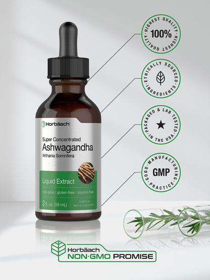 Ashwagandha Root Liquid Extract | 2 fl oz | Alcohol Free Tincture | Vegetarian, Non-GMO, Gluten Free Supplement | by Horbaach HorbäachUS supplements