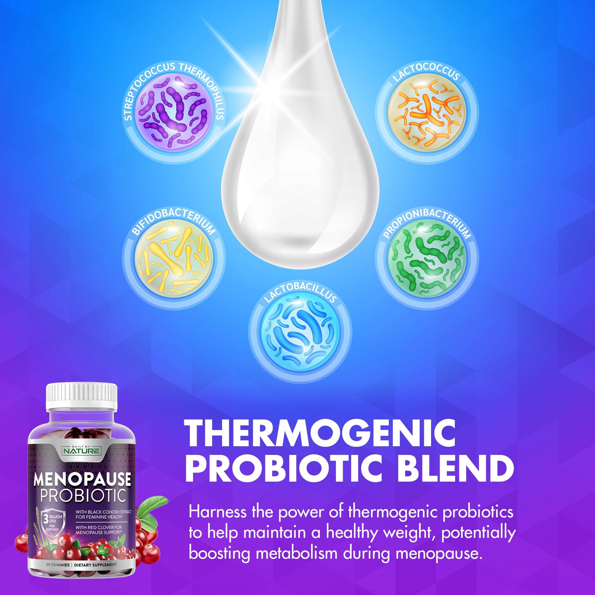 Menopause Supplements for Women - Menopause Probiotic Gummy - Women’s Menopause Relief for Hot Flashes, Night Sweats & Mood Swings with Black Cohosh & Cranberry - Non-GMO, Vegan - 60 Gummies Built by NatureAu supplements