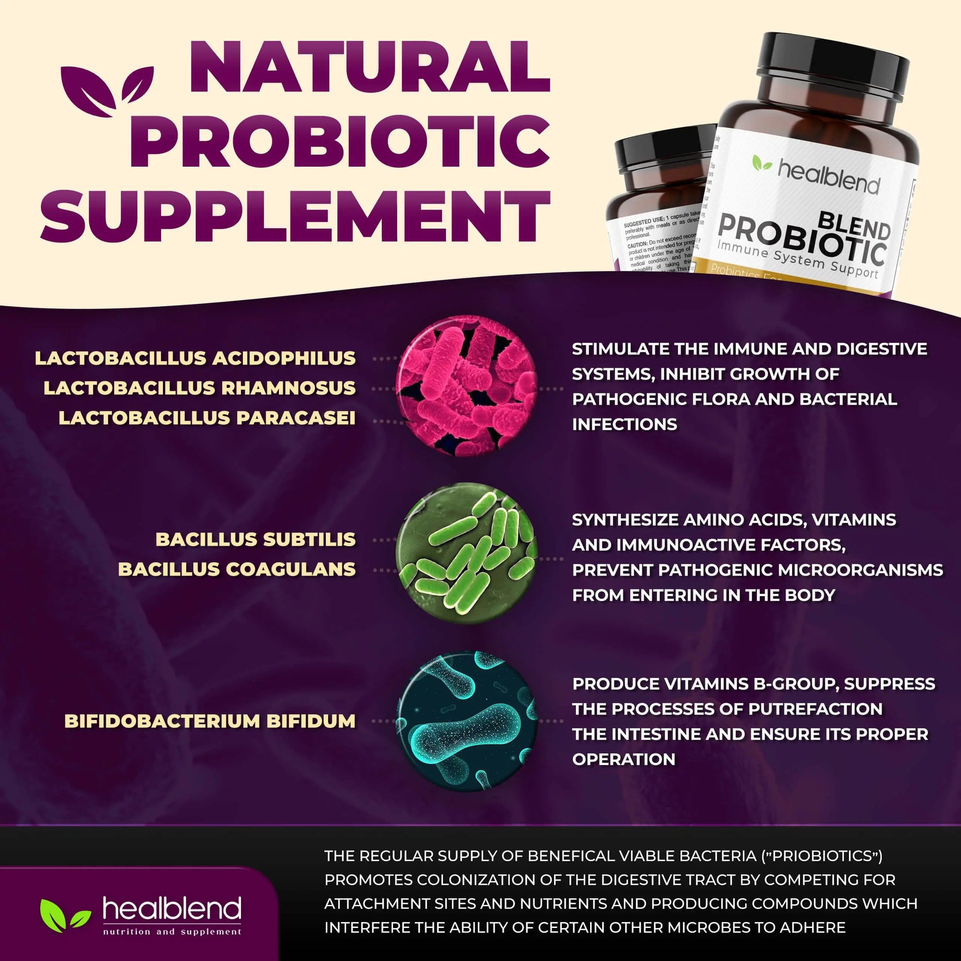 healblend Probiotic Caps Dietary Supplement Capsules, Probiotic for Women and for Men Digestive Health, Immune System Support, Non-GMO, Gluten-Free, 120 Veg Caps healblendnz supplements