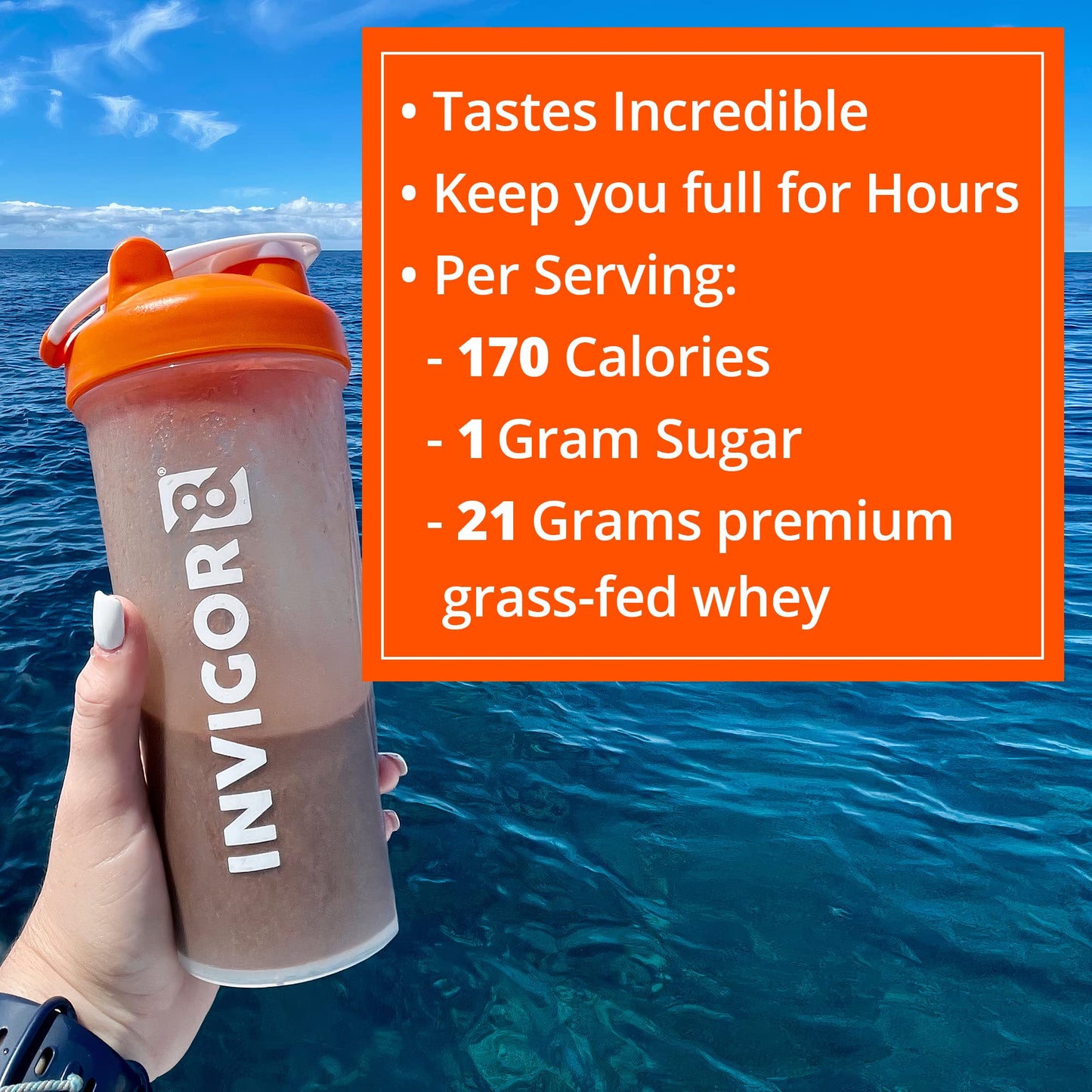 INVIGOR8 Superfood Grass Fed Whey Protein Isolate Shake Chocolate Brownie Gluten INVIGOR8US supplements