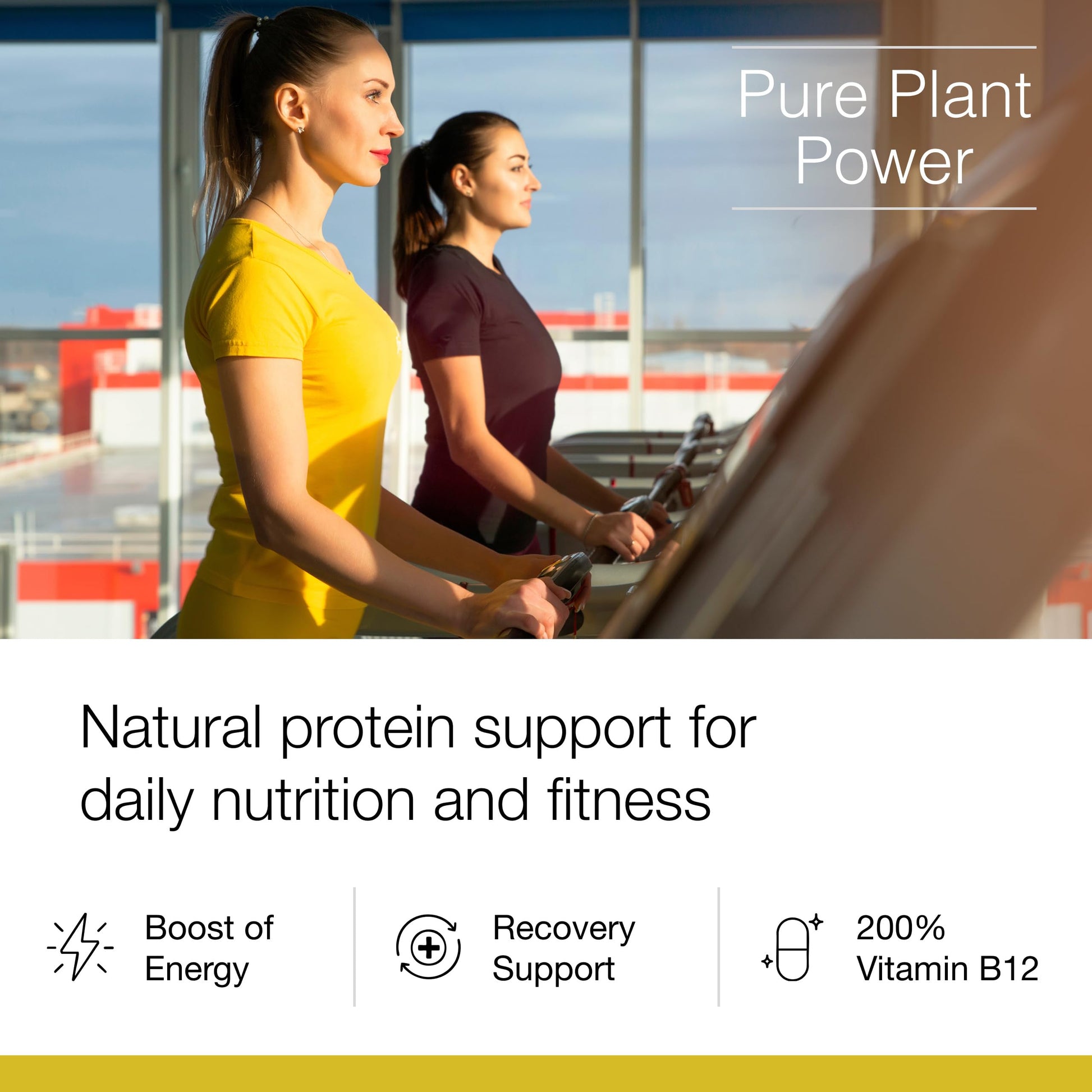 Dr. Schulze's SuperProtein Plus - Plant-Based Protein Powder - Active Lifestyle Supplement - Supports Muscle Health - Drink Mix - Gluten-Free & Vegan - 19 oz (20 Servings) Dr. Schulze'sAu supplements