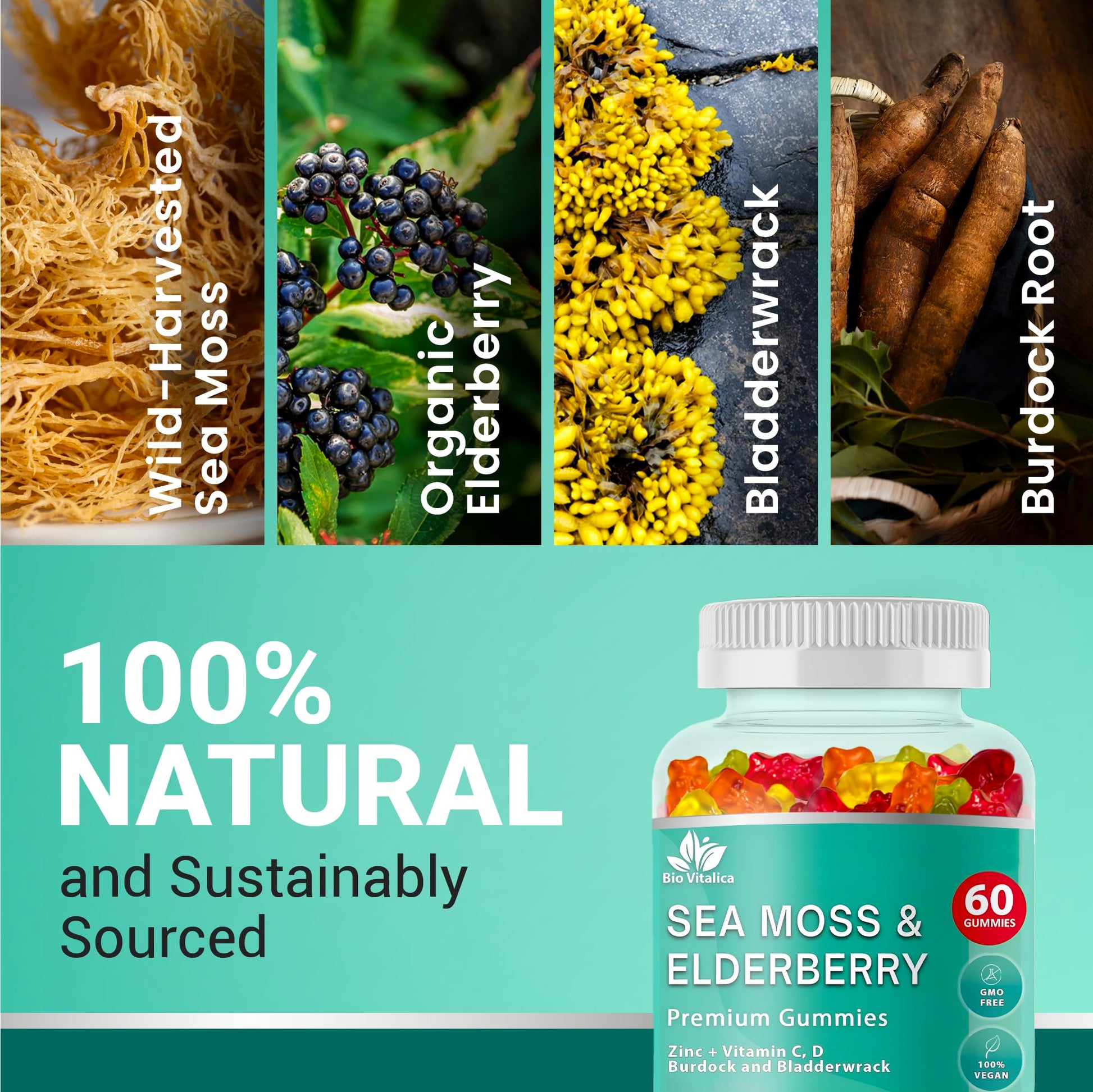 BIO VITALICA Irish Sea Moss Gummies with Elderberry – USA Made Vegan Gummies with Vitamin C, D & Zinc – Immune Support Supplement with Bladderwrack & Burdock Root for Adults & Kids – 3 Packs BIO VITALICAAu supplements