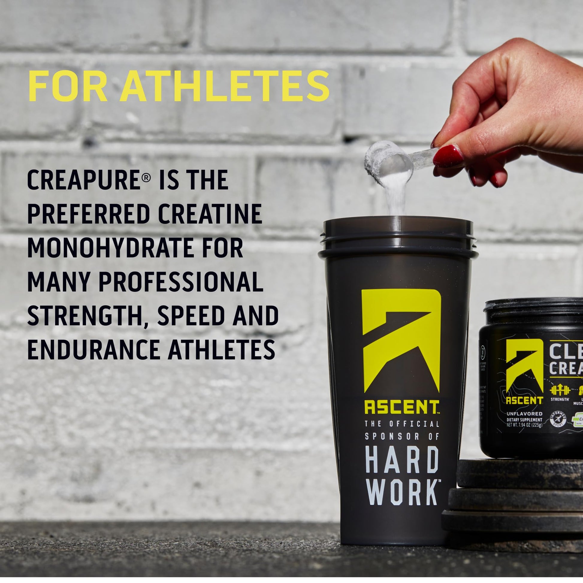 Ascent Clean Creatine Monohydrate Powder - 5G Per Serving, Creapure Creatine Supple AscentUS supplements