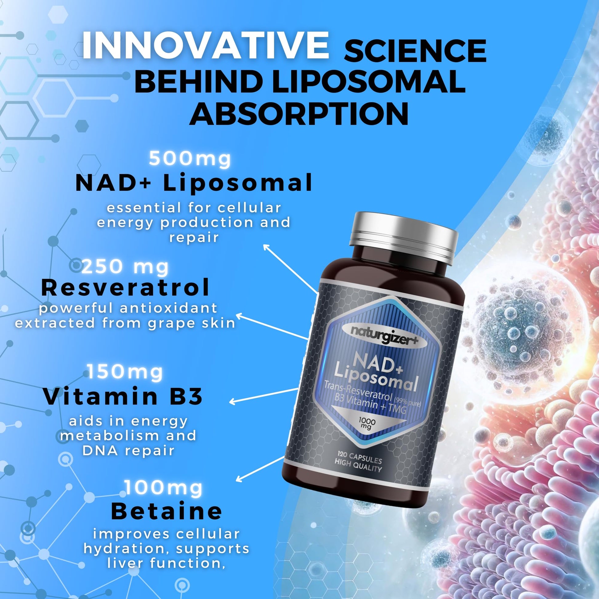 naturgizer+ Liposomal NAD+ Supplement with Resveratrol, TMG & Vitamin B3 | 4-in-1 Healthy Aging & Cellular Energy Support | High Absorption NAD Plus for Men & Women Over 40 | 120 Capsules naturgizer+Au supplements