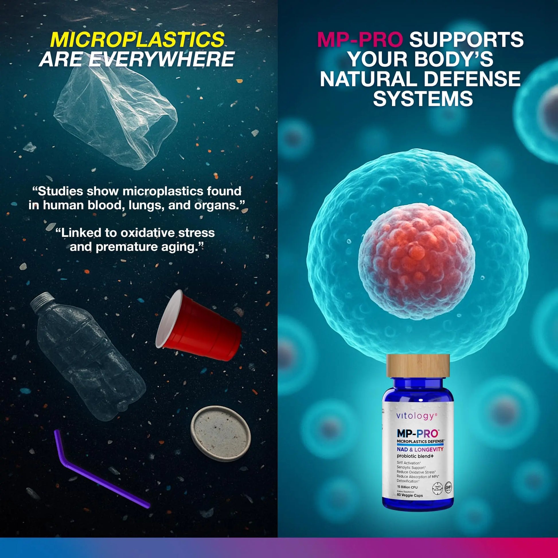 Vitology MP-PRO Microplastics Defense | 15 Billion CFU Probiotic + Antioxidant Blend | NMN, NAC, Glutathione, Resveratrol & Charcoal | Supports Cellular Detox, Longevity & Gut Health – 60 Capsules VitologyAu supplements